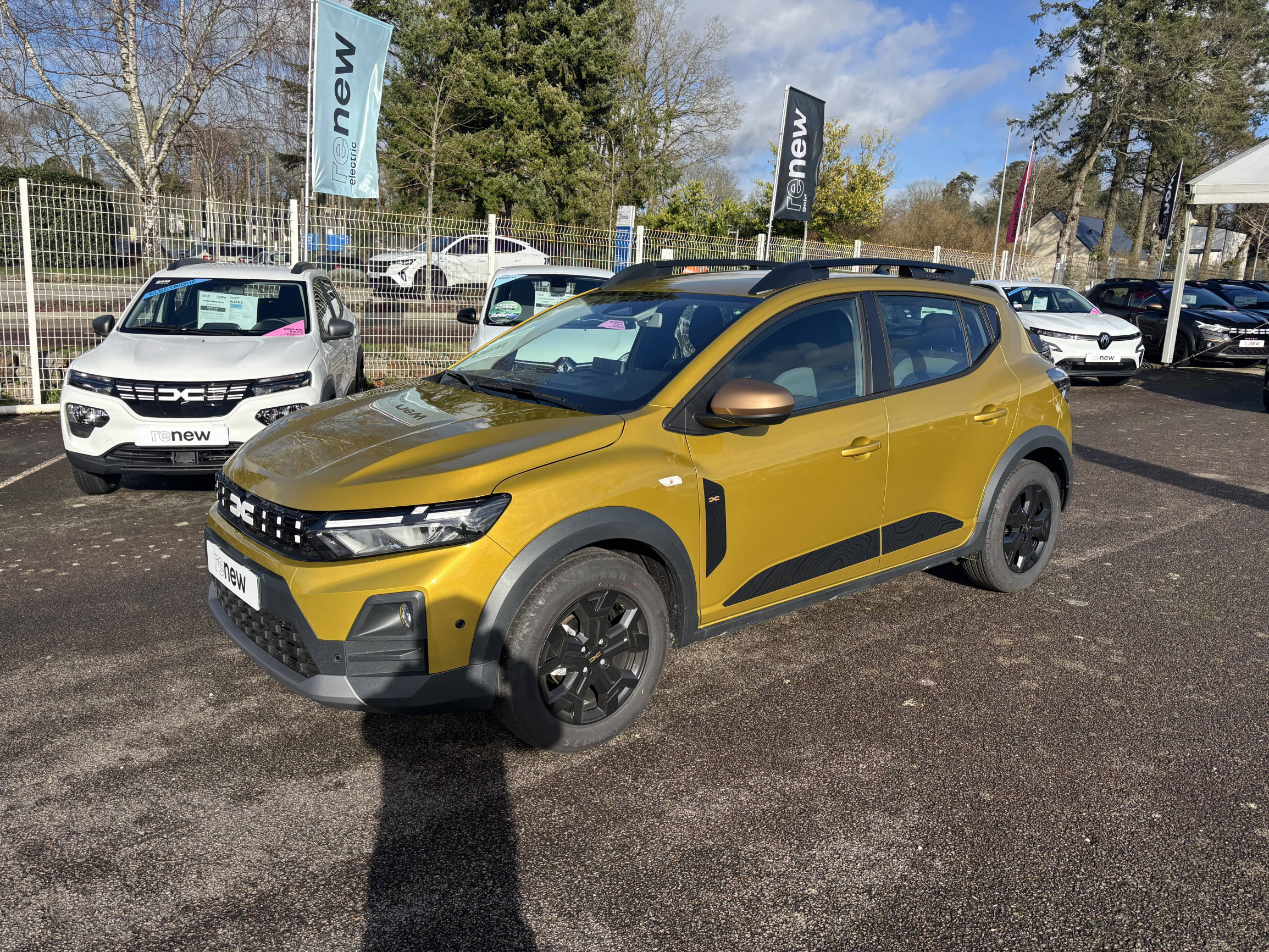 Vente en ligne Dacia Sandero  TCe 110 au prix de 19 590 €