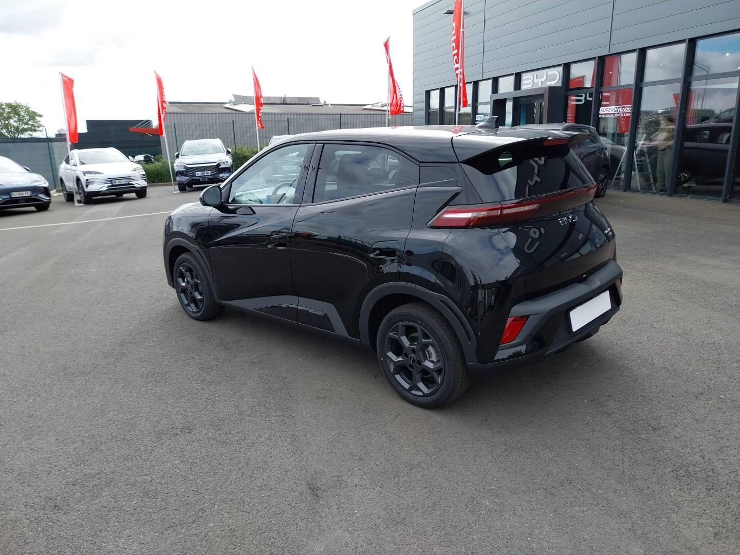 Vente en ligne Byd Dolphin Surf  43.2 kWh 156 ch au prix de 22 890 €