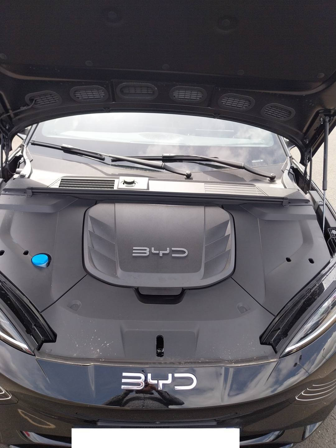 Vente en ligne Byd Seal  82,5 kWh 313 ch RWD au prix de 40 090 €