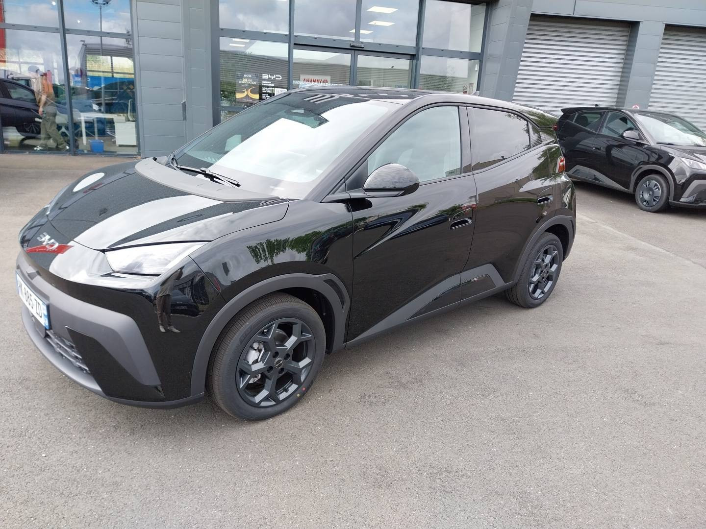 Byd Dolphin Surf  43.2 kWh 156 ch occasion de 2026 en vente à Angers