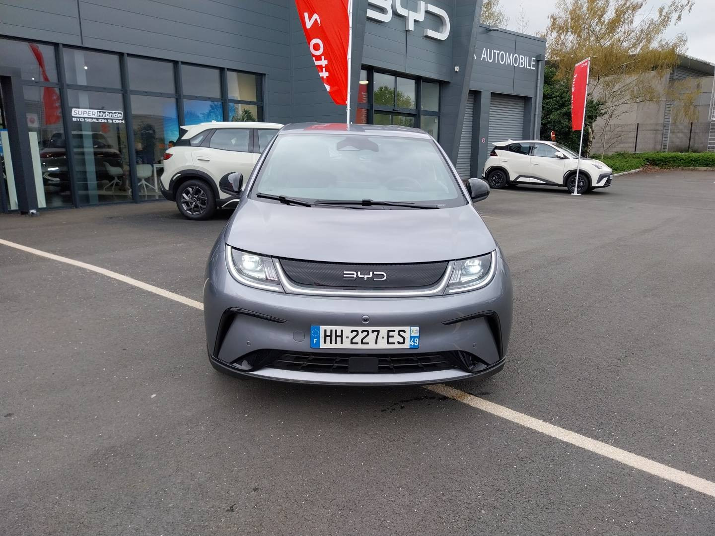 Byd Dolphin  60,4 kWh 204 ch occasion de 2025 en vente à Angers