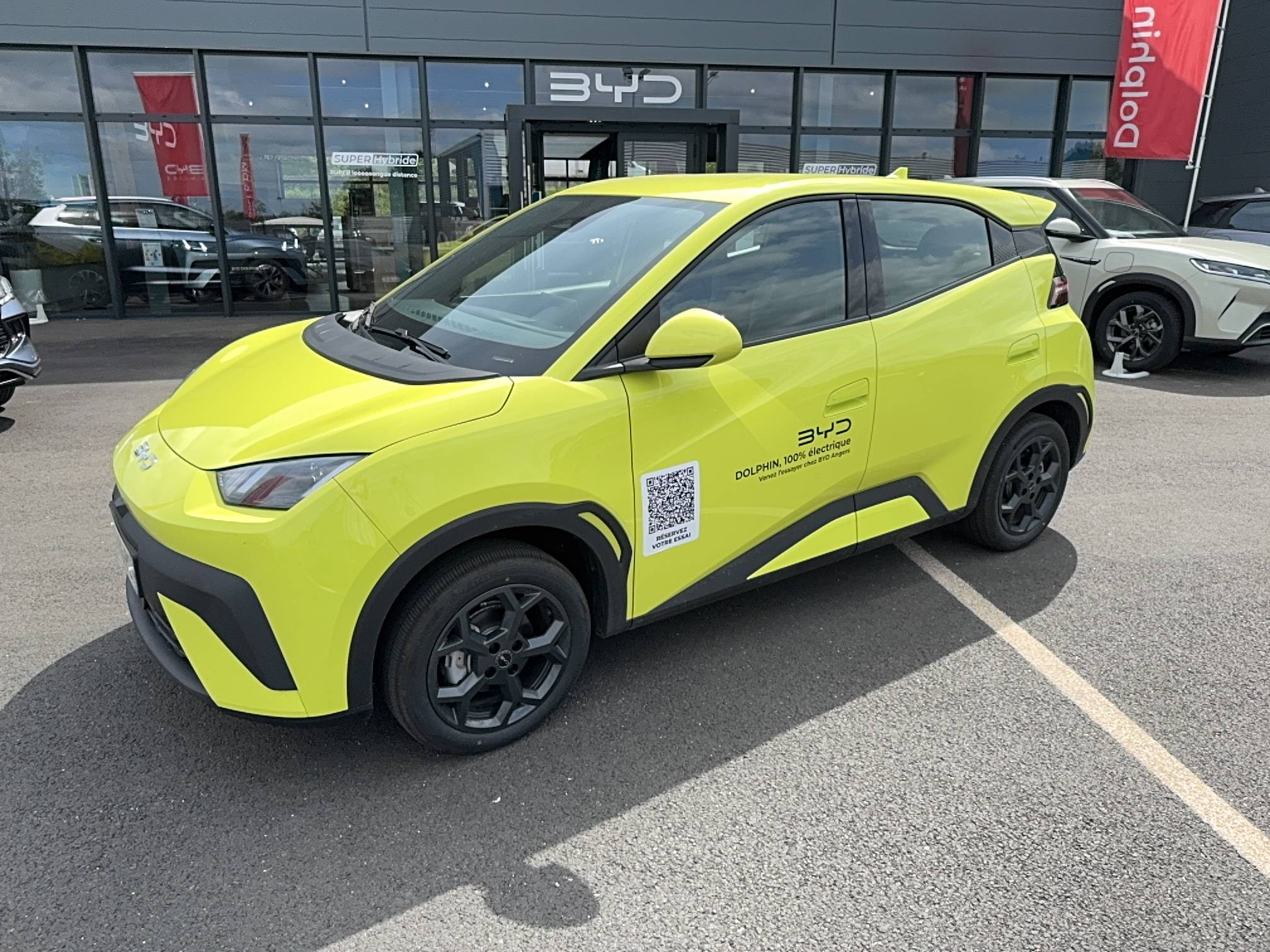 Byd Dolphin Surf  43.2 kWh 88 ch occasion de 2026 en vente à Angers