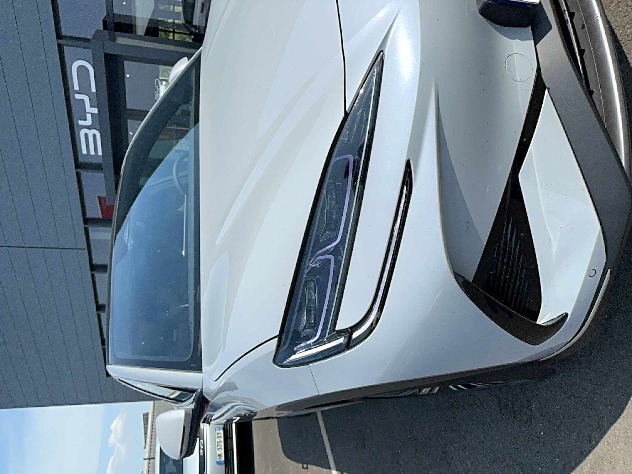 Vente en ligne Byd Sealion 7  82,5 kWh 313ch RWD au prix de 43 690 €