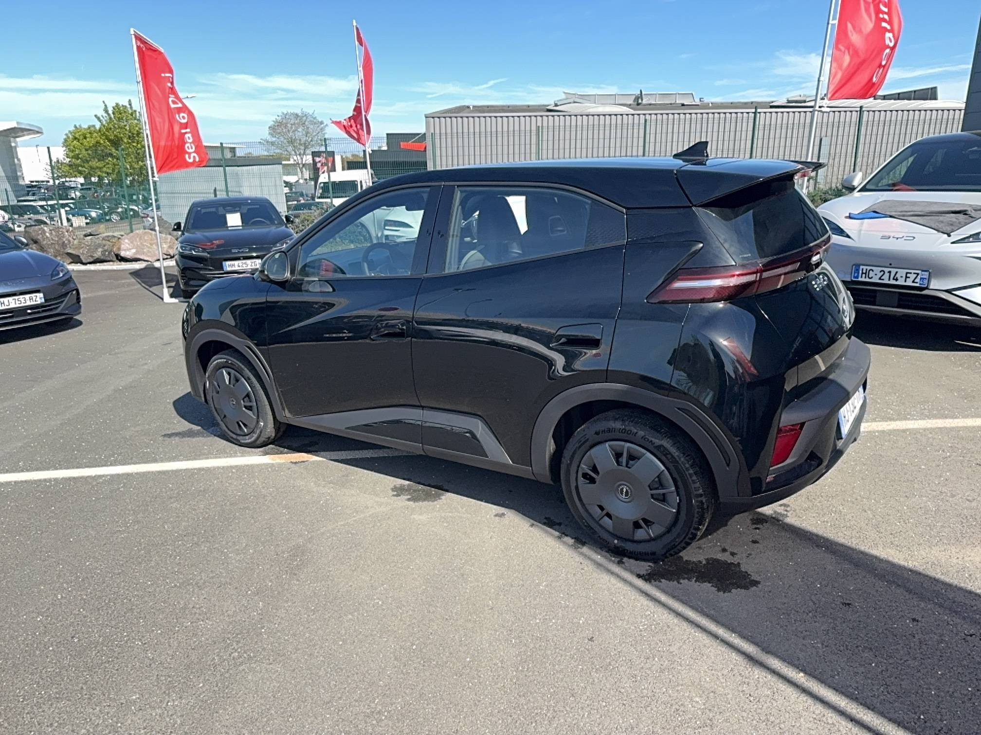 Vente en ligne Byd Dolphin Surf  30 kWh 88 ch au prix de 18 990 €