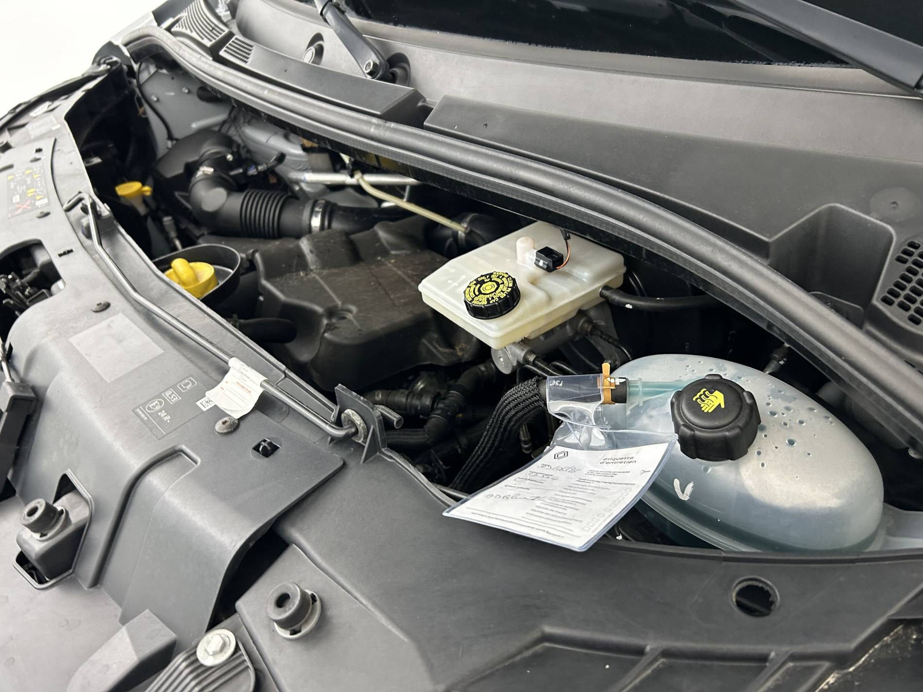 Vente en ligne Renault Master Fourgon MASTER FGN TRAC F3500 L2H2 BLUE DCI 135 au prix de 25 900 €