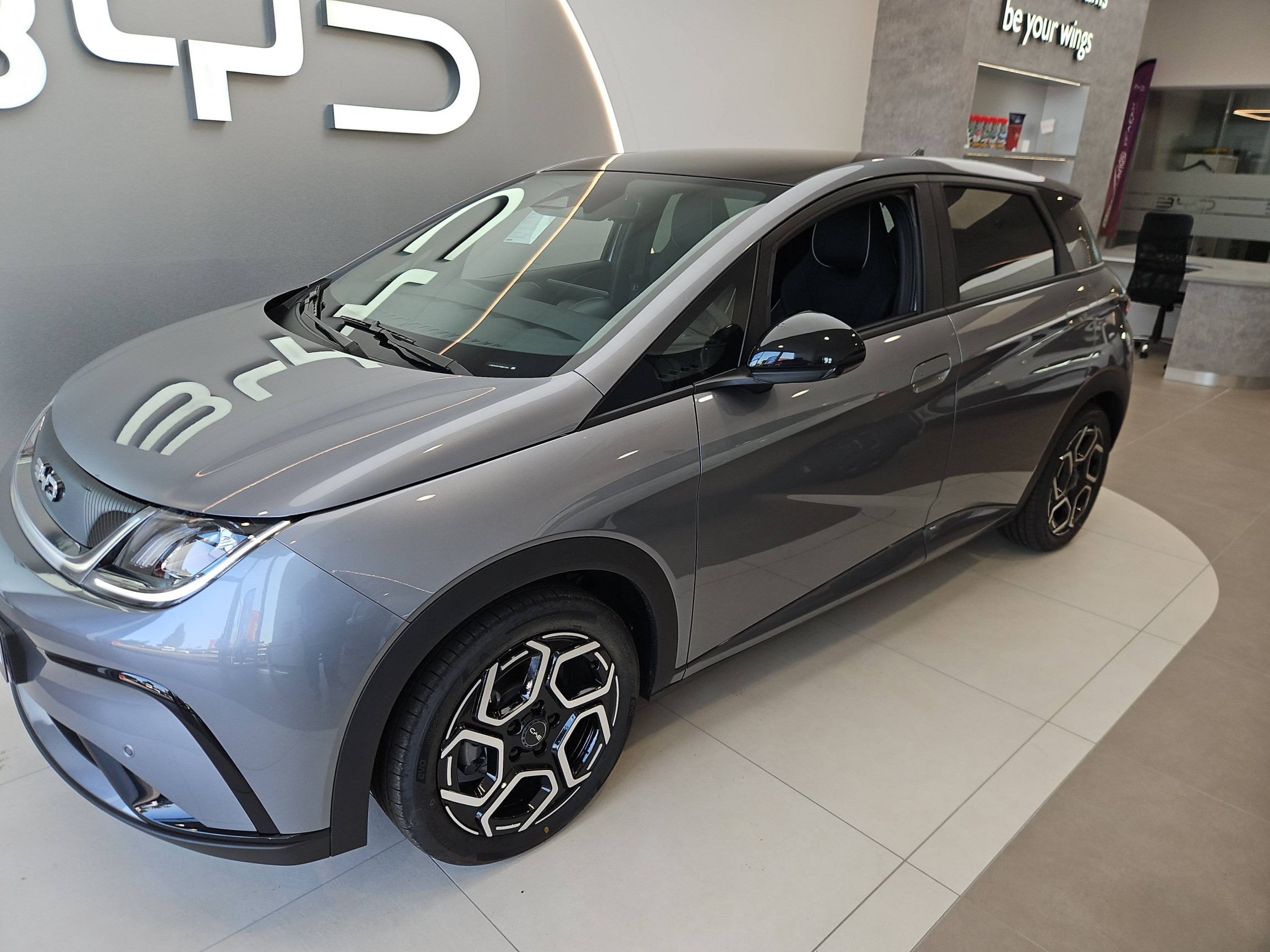 Byd Dolphin  60,4 kWh 204 ch occasion de 2026 en vente à Lorient