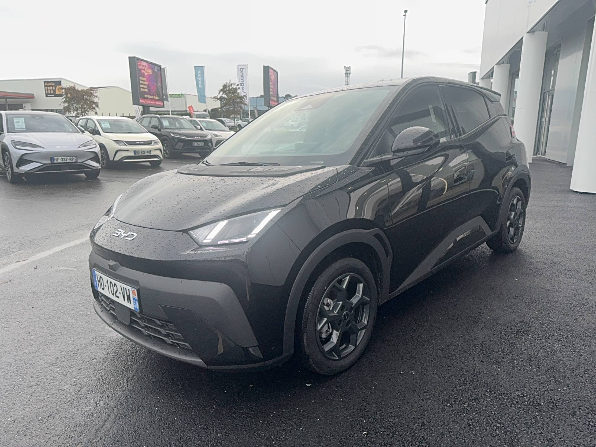 Byd Dolphin Surf  43.2 kWh 156 ch occasion de 2025 en vente à Cherbourg