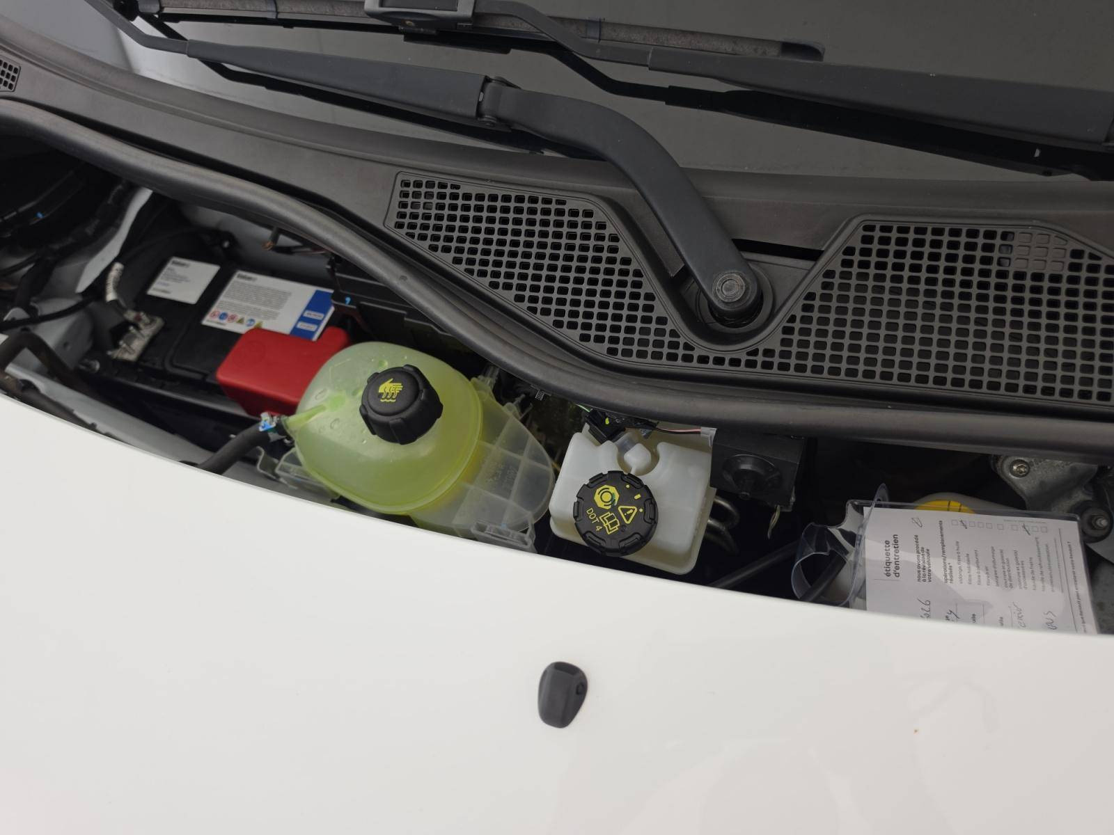 Vente en ligne Renault Twingo Electrique Twingo III Achat Intégral - 21 au prix de 11 300 €