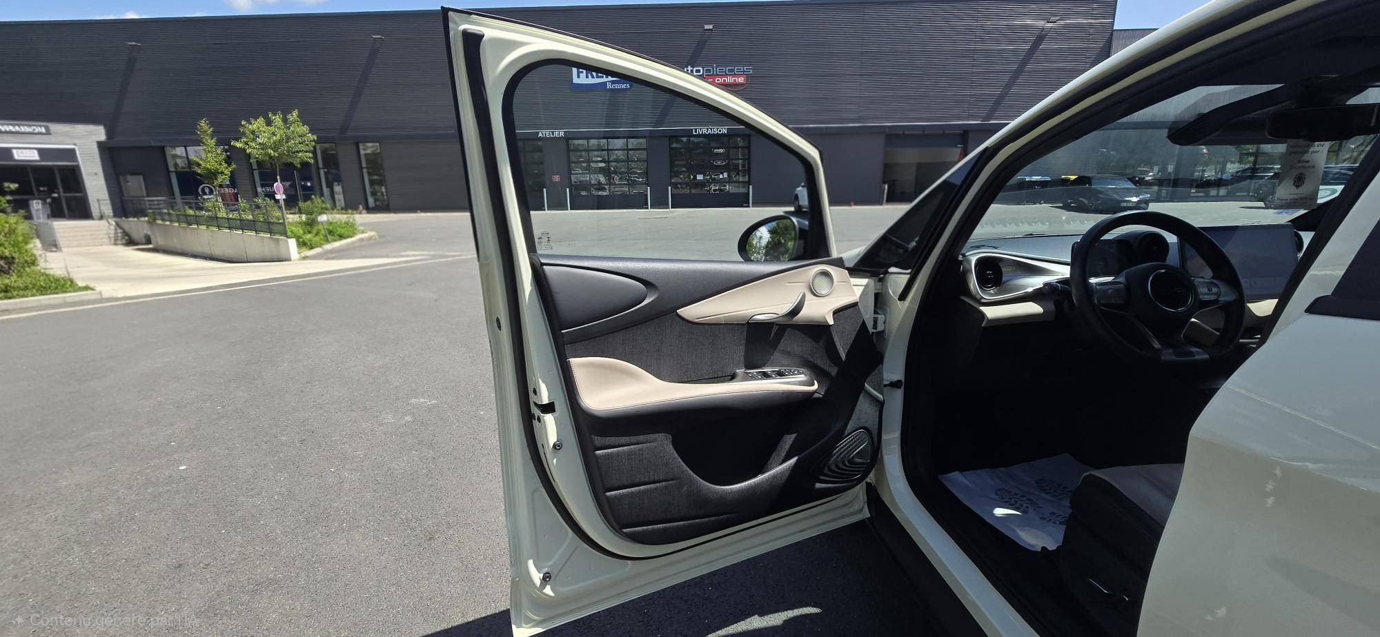 Vente en ligne Byd Dolphin  60,4 kWh 204 ch au prix de 21 990 €