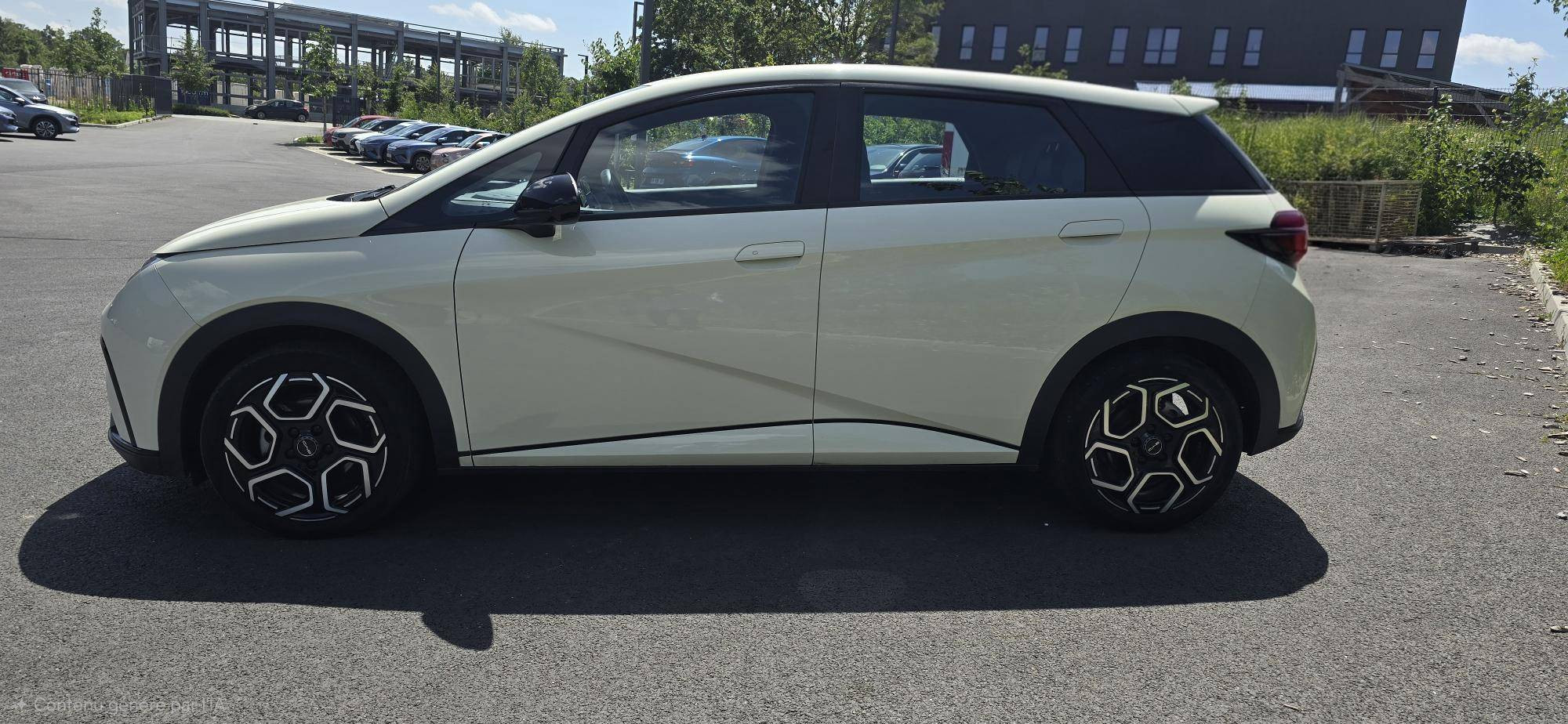 Vente en ligne Byd Dolphin  60,4 kWh 204 ch au prix de 21 990 €