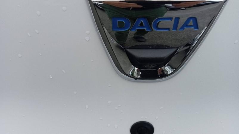 Vente en ligne Dacia Spring  Achat Intégral au prix de 13 490 €