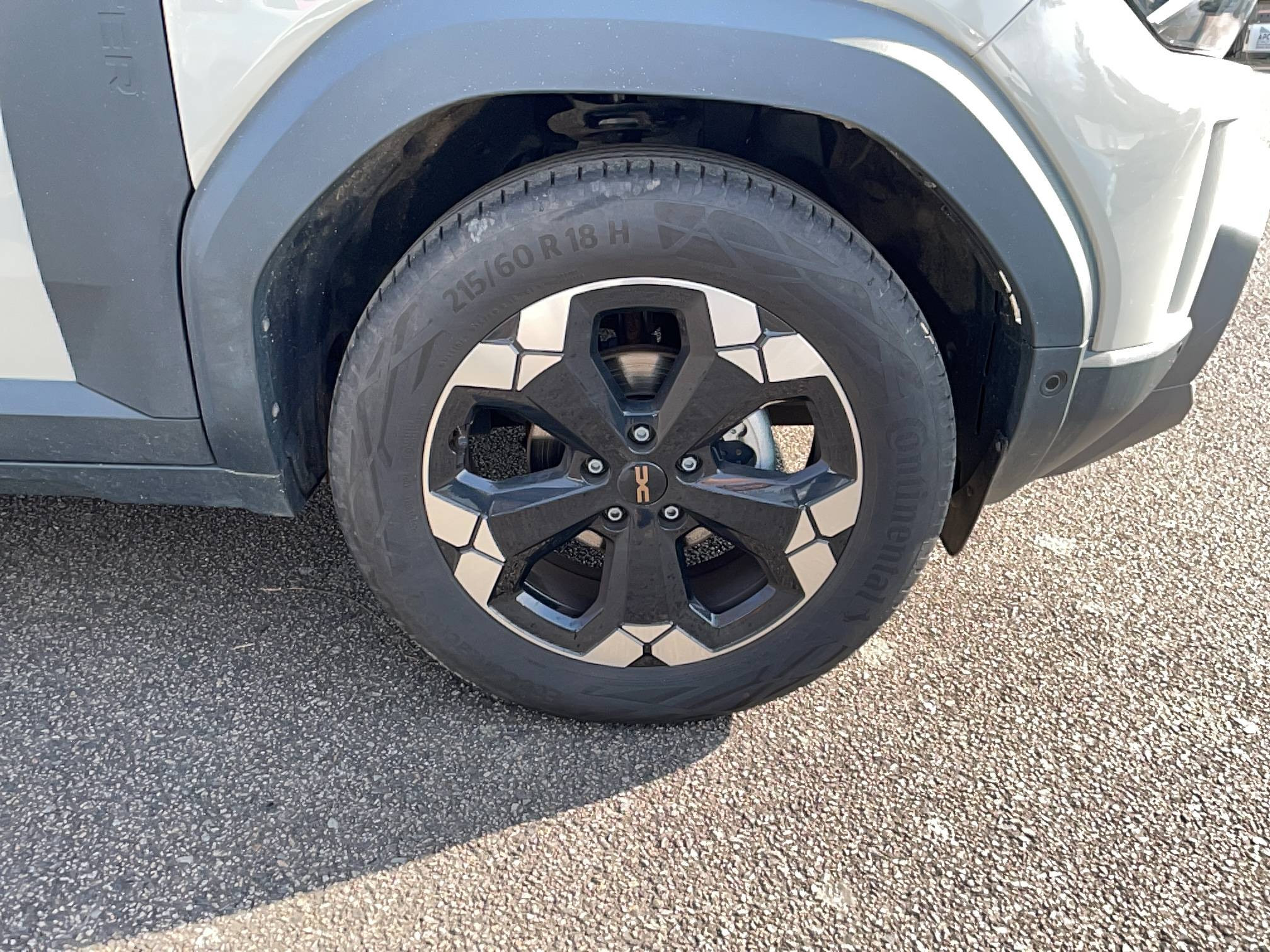 Vente en ligne Dacia Duster  ECO-G 100 au prix de 21 990 €