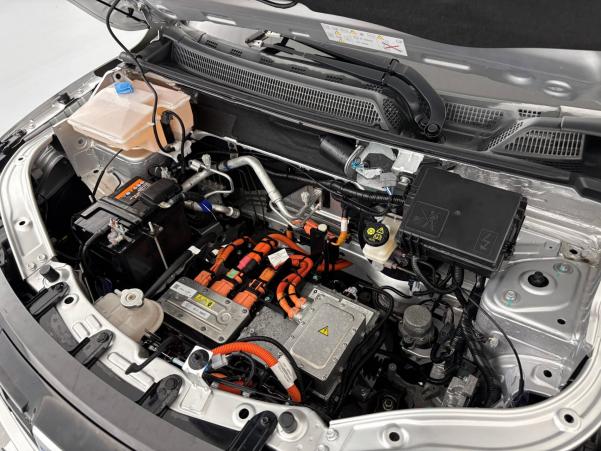 Vente en ligne Dacia Spring  Achat Intégral au prix de 10 900 €
