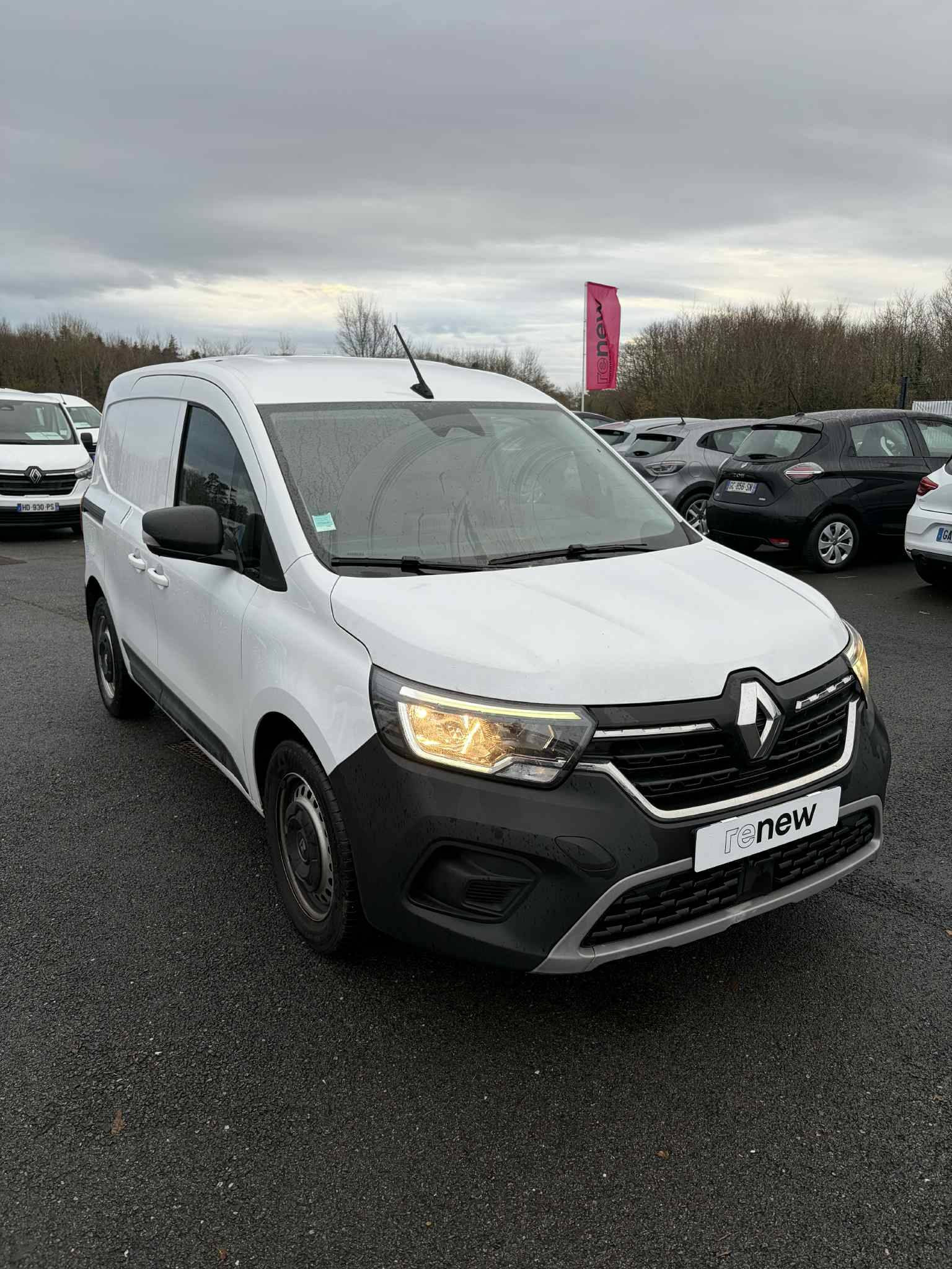 Vente en ligne Renault Kangoo Van  BLUE DCI 95 au prix de 18 890 €