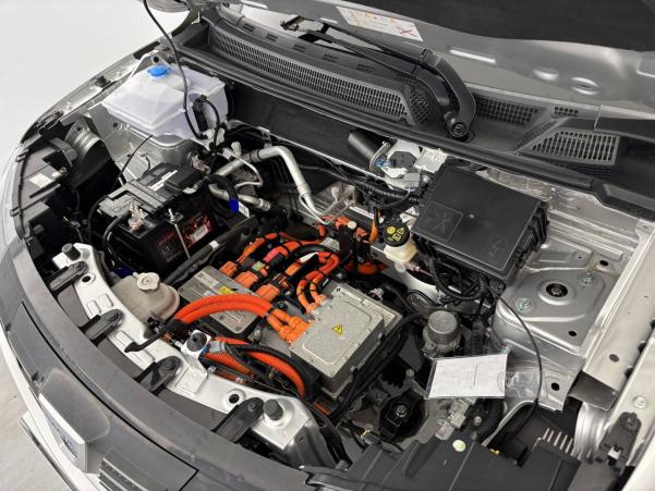 Vente en ligne Dacia Spring  Achat Intégral au prix de 9 900 €