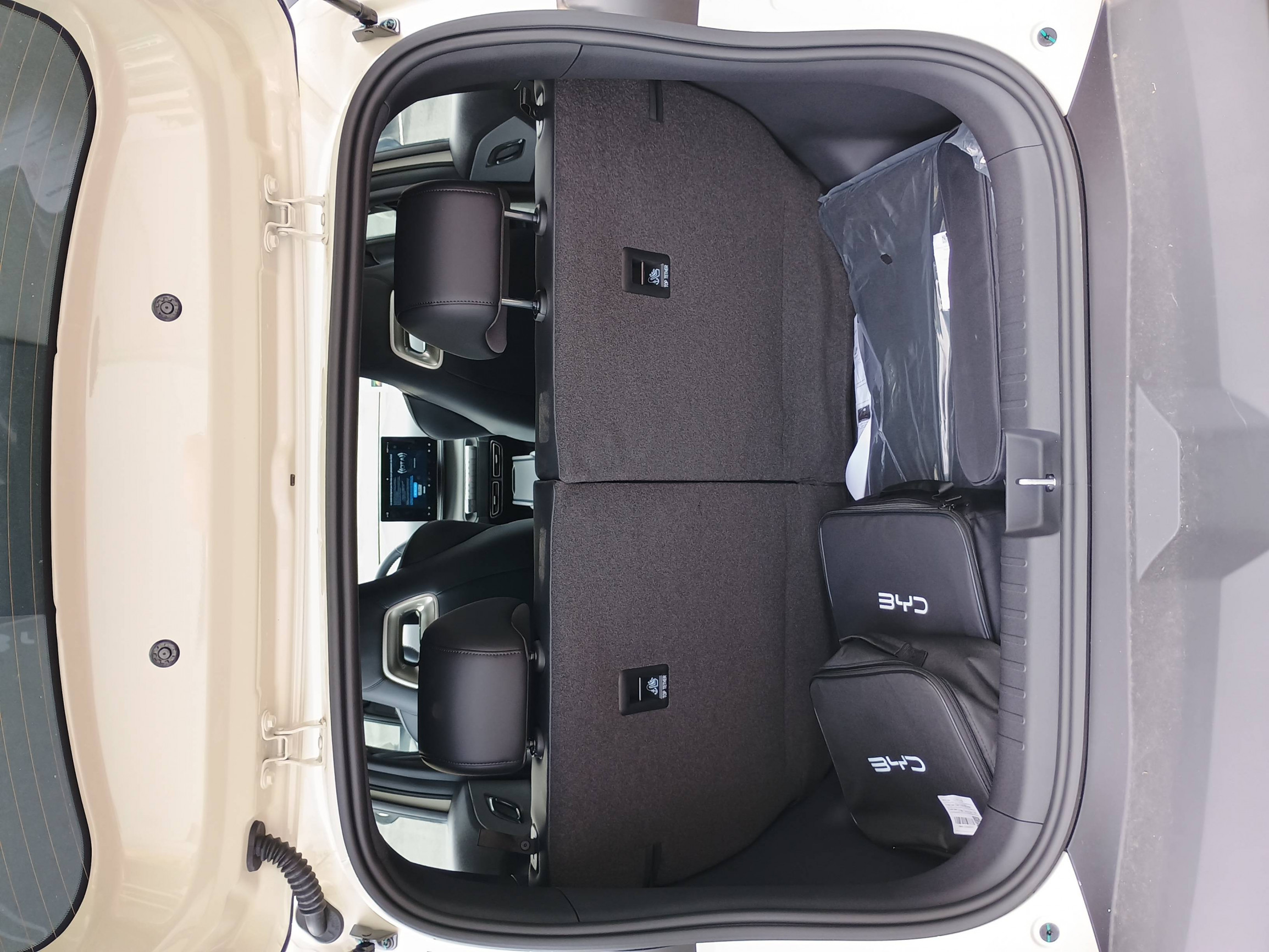 Vente en ligne Byd Dolphin Surf  43.2 kWh 88 ch au prix de 23 990 €