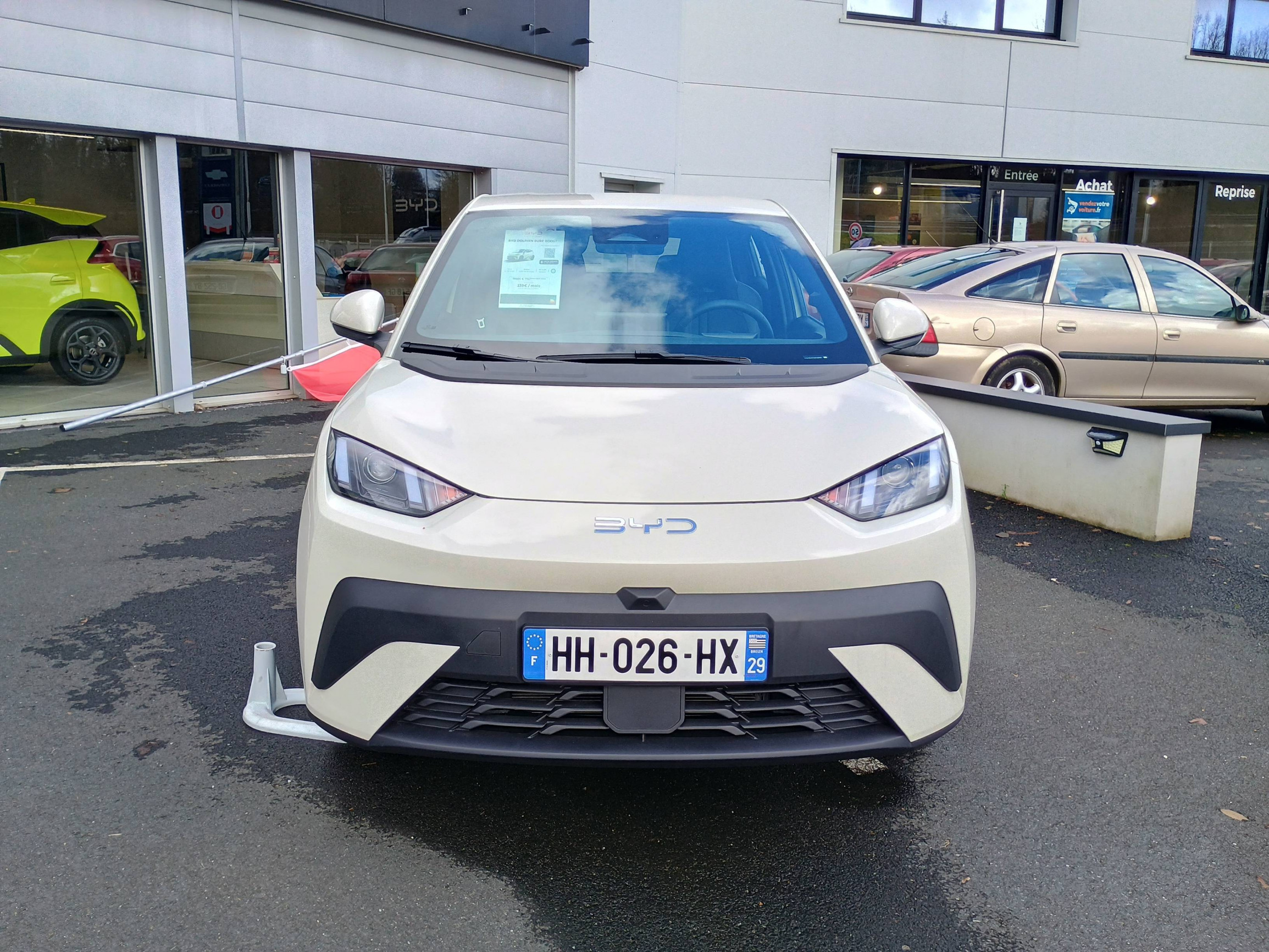 Vente en ligne Byd Dolphin Surf  43.2 kWh 88 ch au prix de 23 990 €