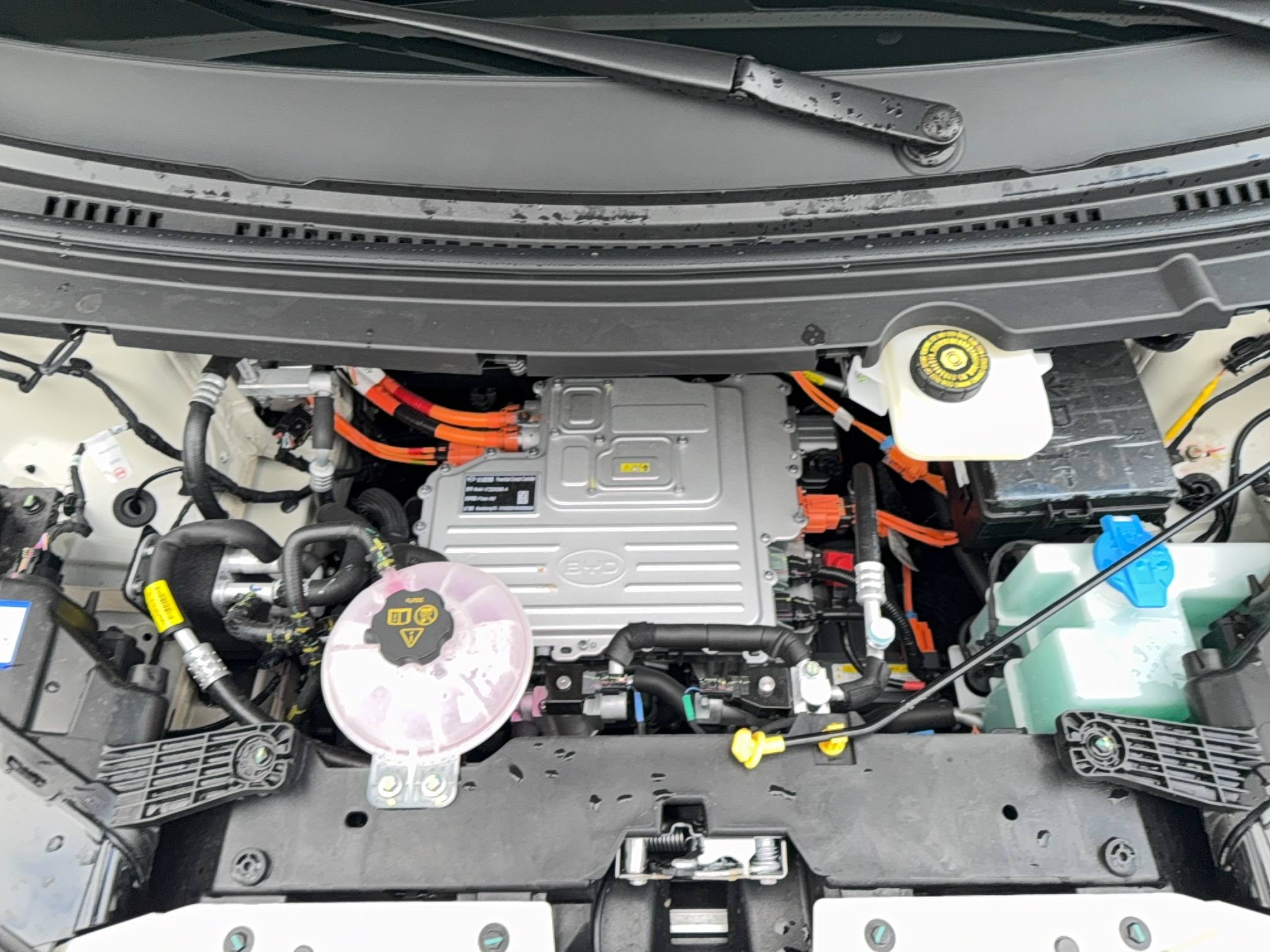 Vente en ligne Byd Dolphin Surf  43.2 kWh 88 ch au prix de 21 990 €