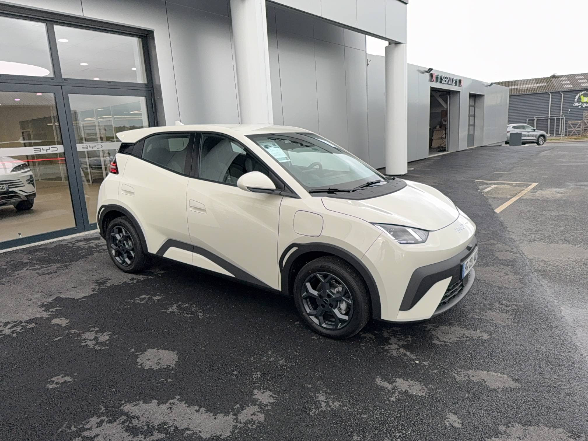 Vente en ligne Byd Dolphin Surf  43.2 kWh 88 ch au prix de 21 990 €