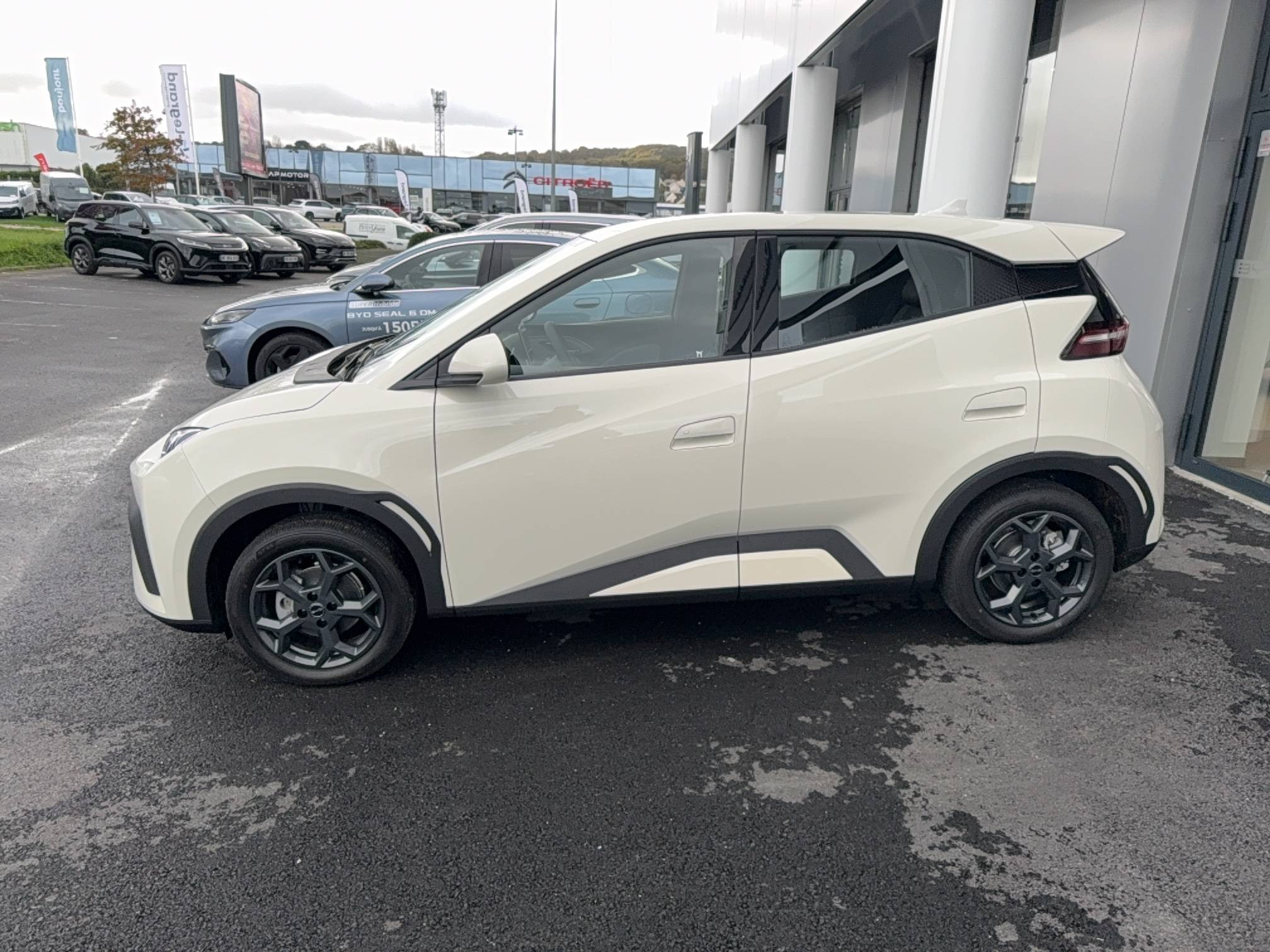 Vente en ligne Byd Dolphin Surf  43.2 kWh 88 ch au prix de 21 990 €