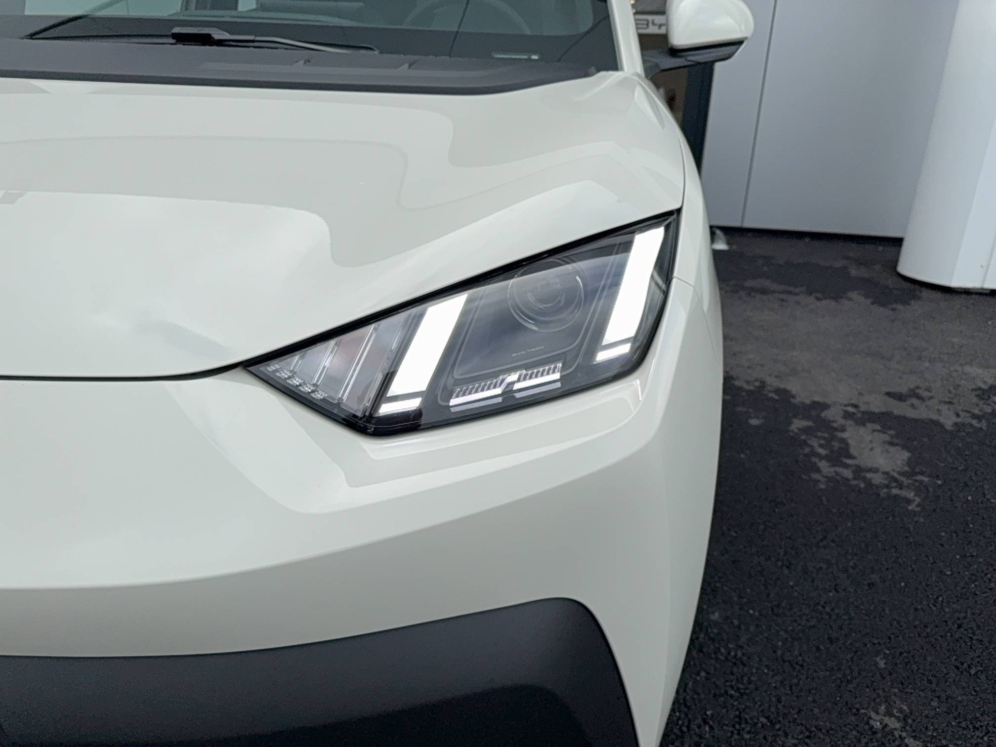 Vente en ligne Byd Dolphin Surf  43.2 kWh 88 ch au prix de 21 990 €