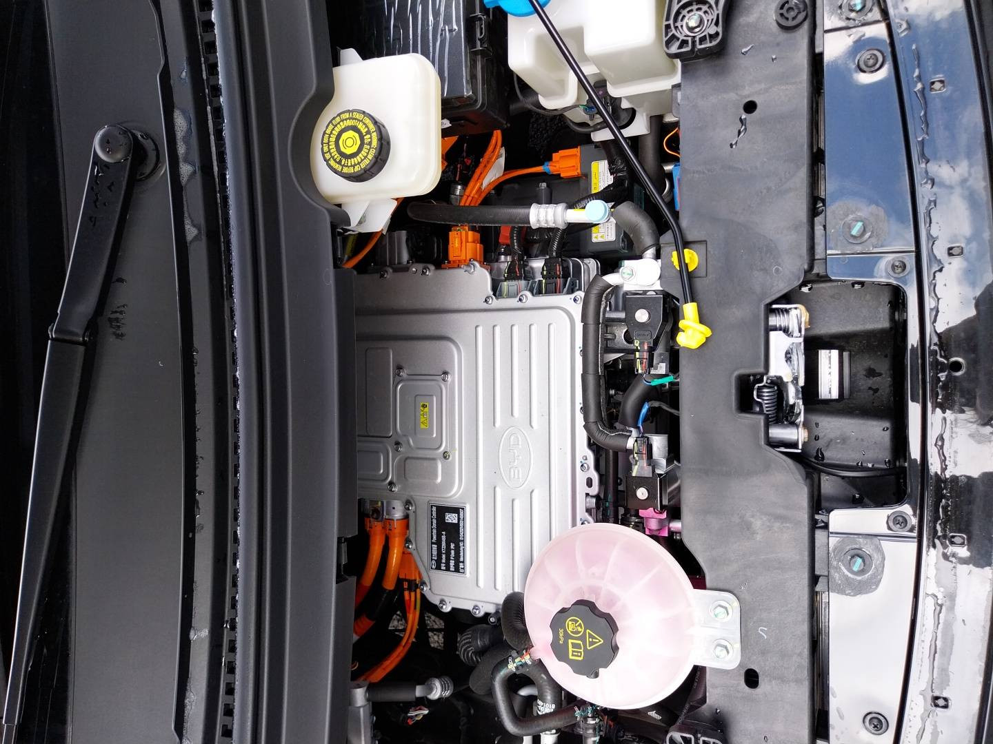 Vente en ligne Byd Dolphin Surf  43.2 kWh 156 ch au prix de 23 940 €