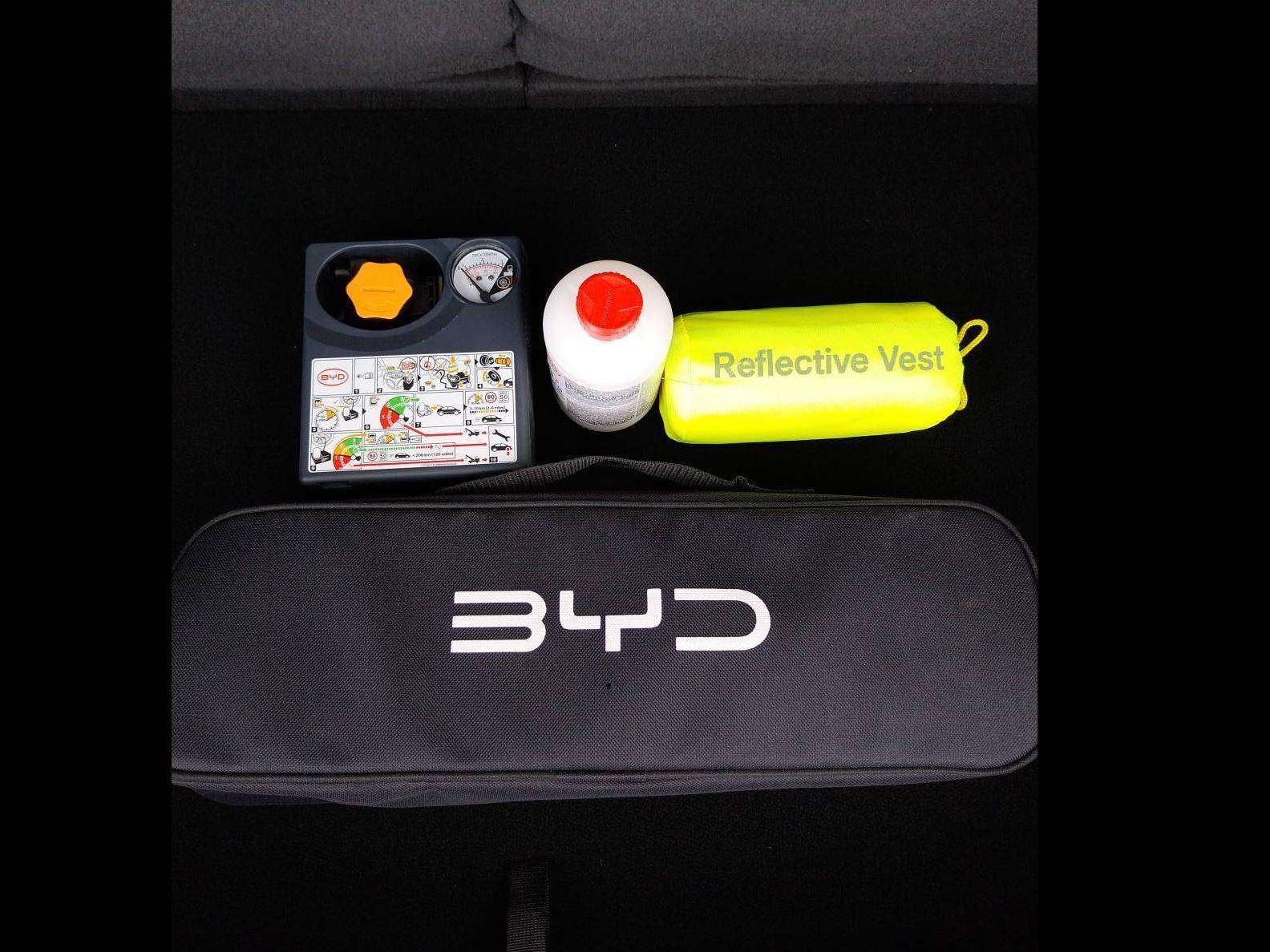 Vente en ligne Byd Dolphin Surf  43.2 kWh 156 ch au prix de 23 940 €