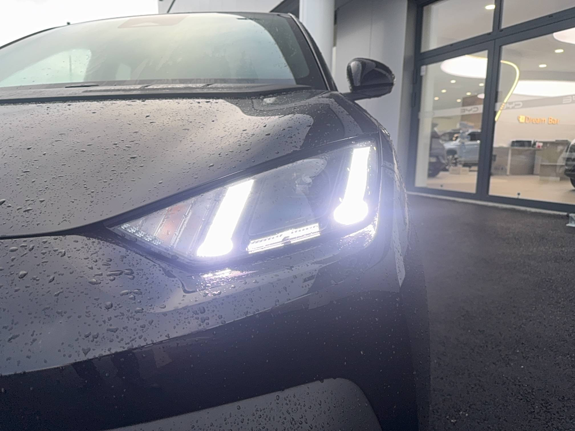 Vente en ligne Byd Dolphin Surf  43.2 kWh 156 ch au prix de 23 990 €