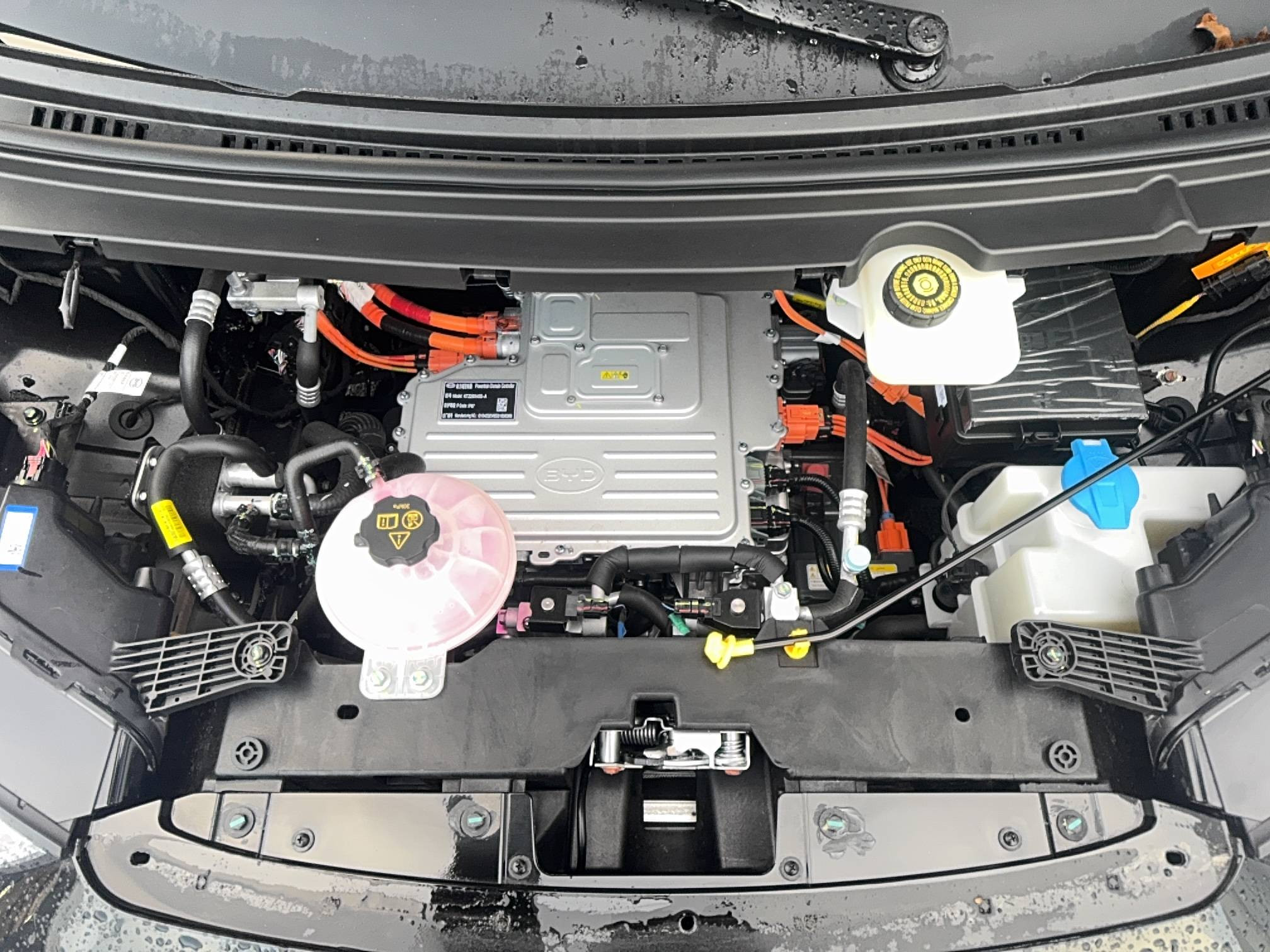 Vente en ligne Byd Dolphin Surf  43.2 kWh 156 ch au prix de 23 990 €