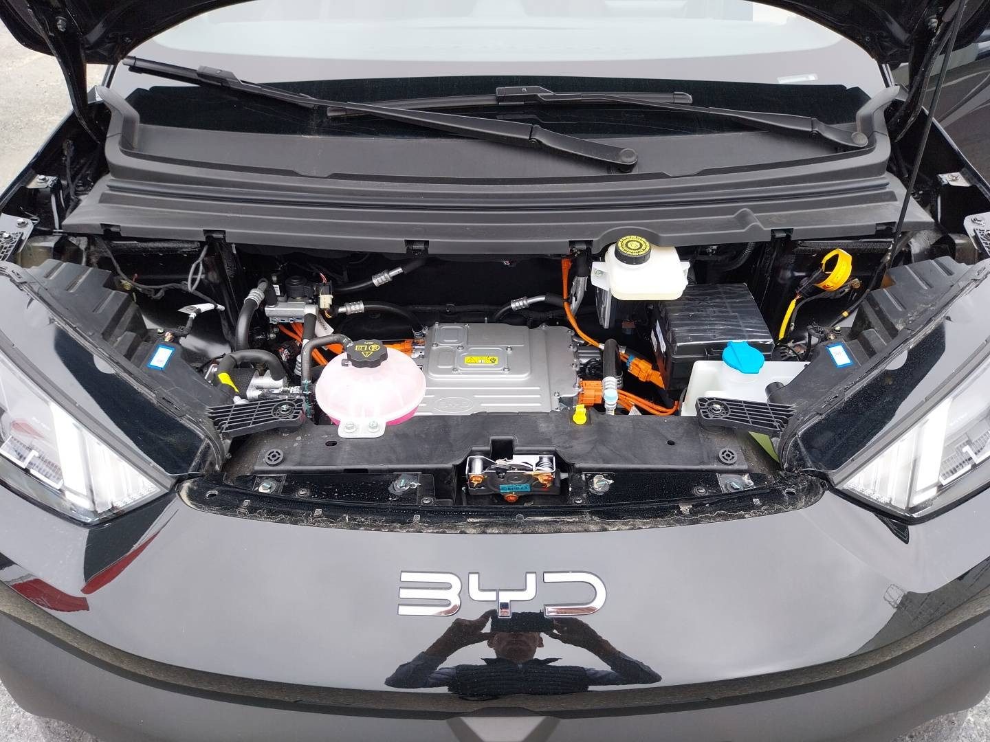 Vente en ligne Byd Dolphin Surf  43.2 kWh 156 ch au prix de 23 261 €