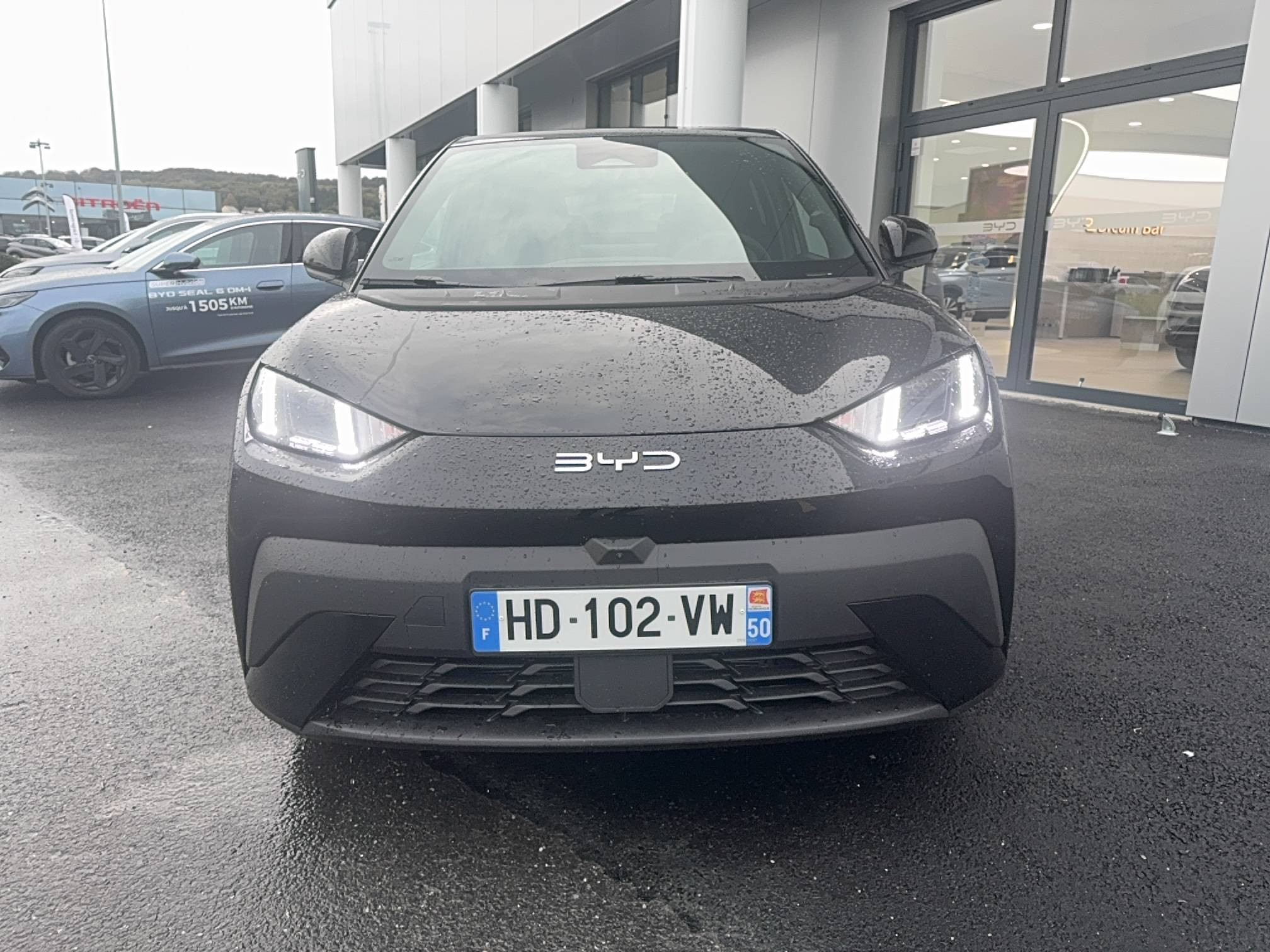 Vente en ligne Byd Dolphin Surf  43.2 kWh 156 ch au prix de 23 990 €