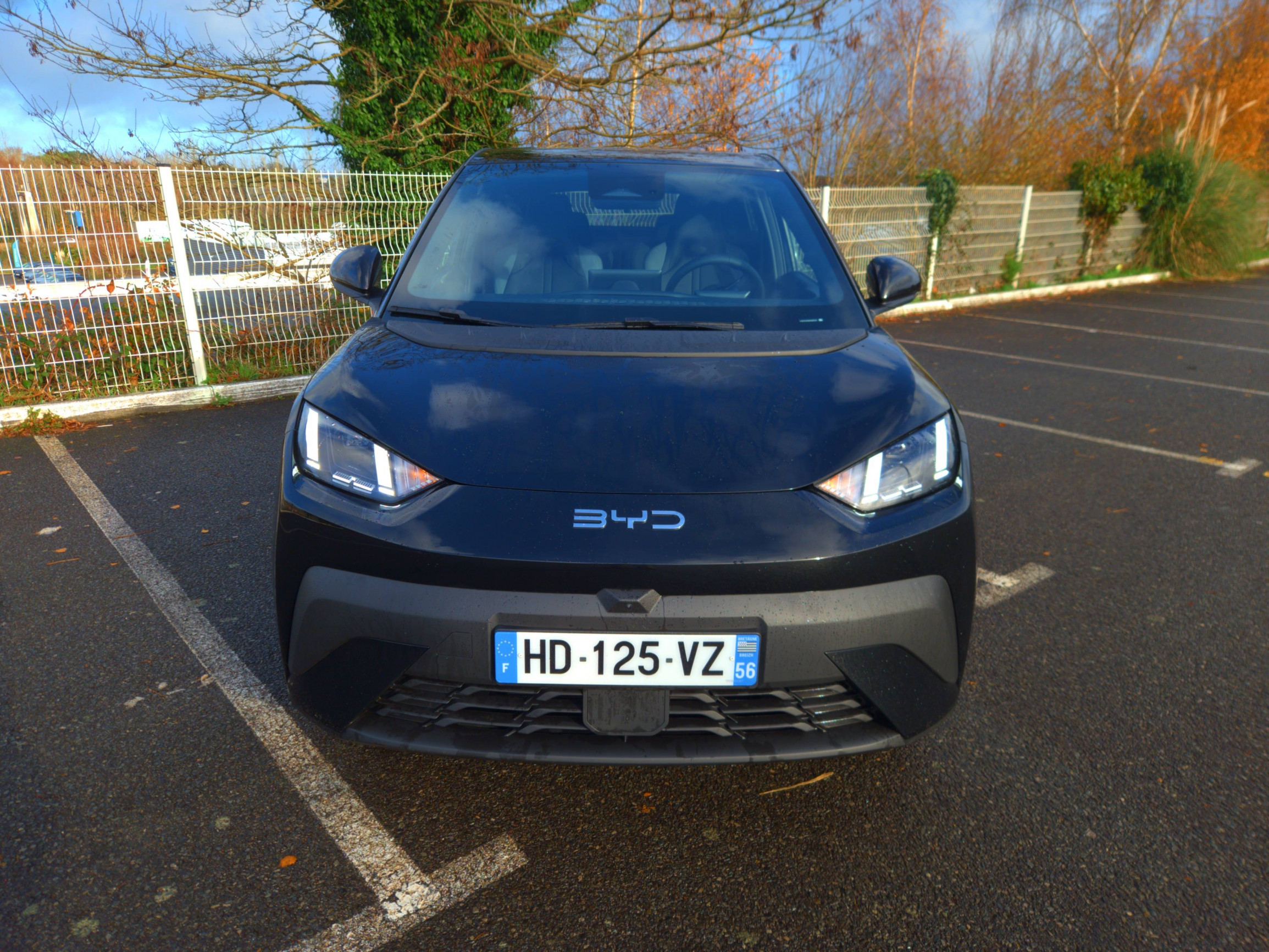 Vente en ligne Byd Dolphin Surf  43.2 kWh 156 ch au prix de 22 871 €