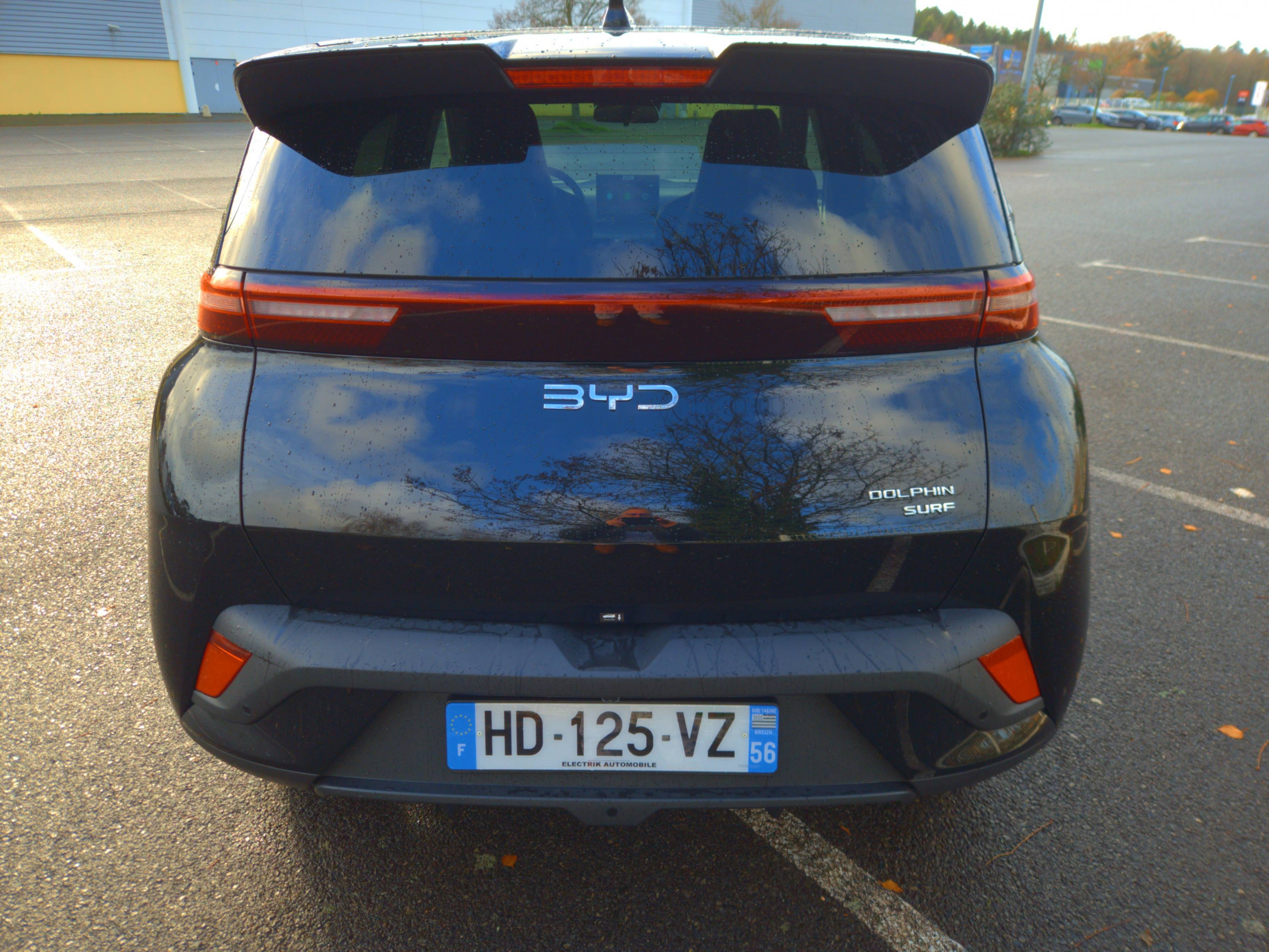 Vente en ligne Byd Dolphin Surf  43.2 kWh 156 ch au prix de 22 871 €