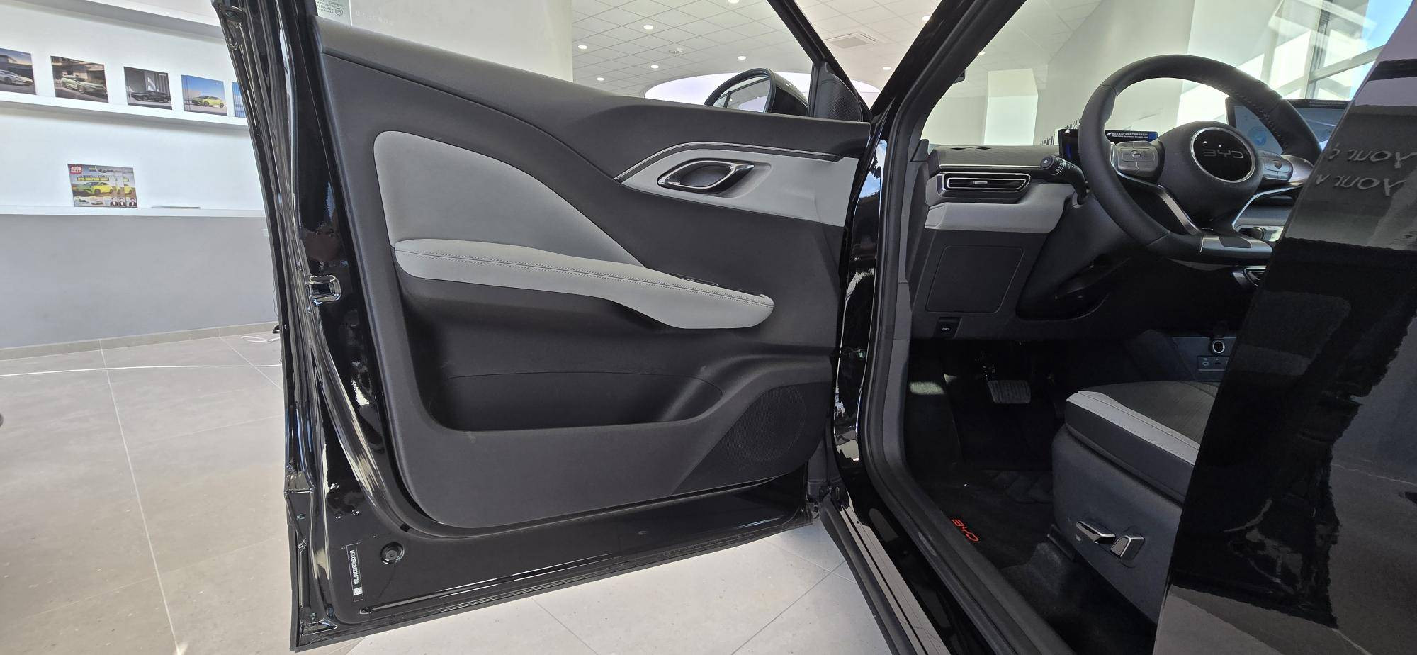 Vente en ligne Byd Dolphin Surf  43.2 kWh 156 ch au prix de 22 590 €