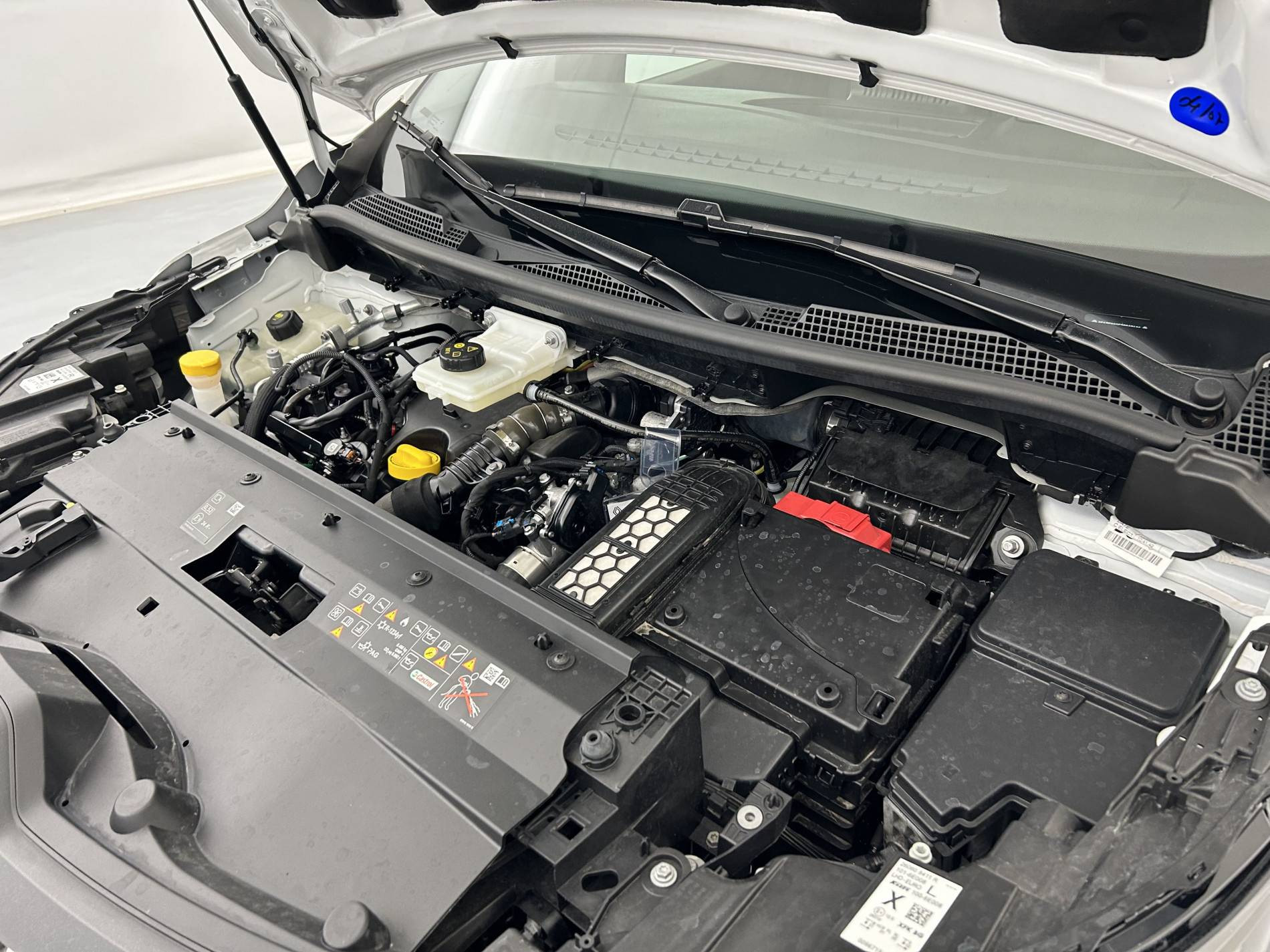 Vente en ligne Renault Kangoo Van  BLUE DCI 95 au prix de 18 990 €