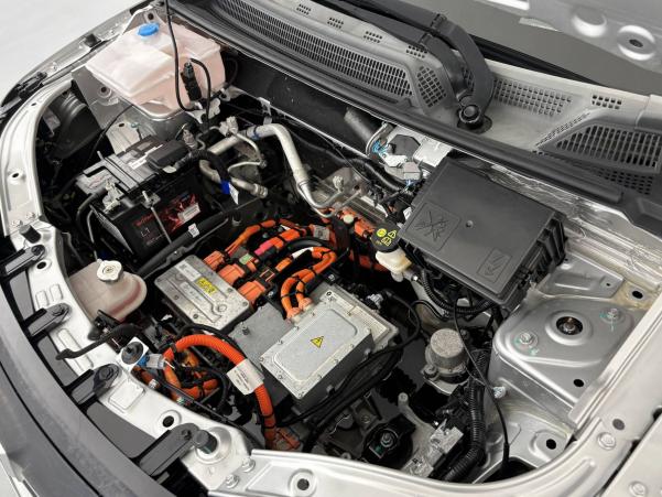 Vente en ligne Dacia Spring  Achat Intégral au prix de 8 490 €