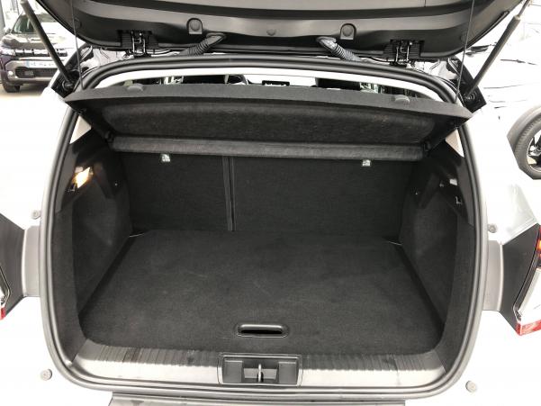 Vente en ligne Renault Captur  TCe 100 GPL - 21 au prix de 19 990 €