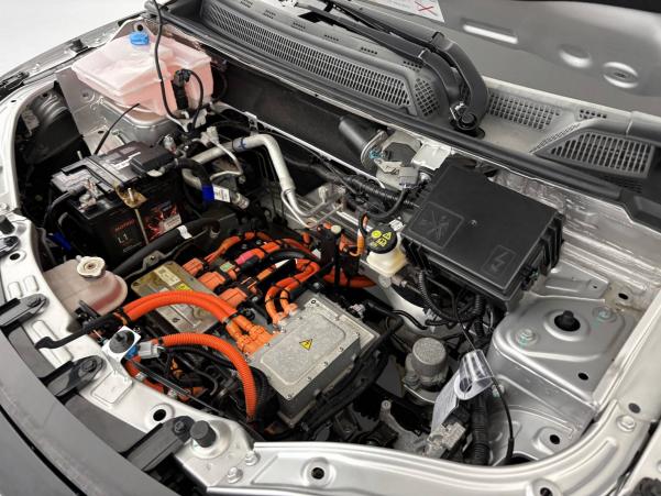 Vente en ligne Dacia Spring  Achat Intégral au prix de 9 890 €