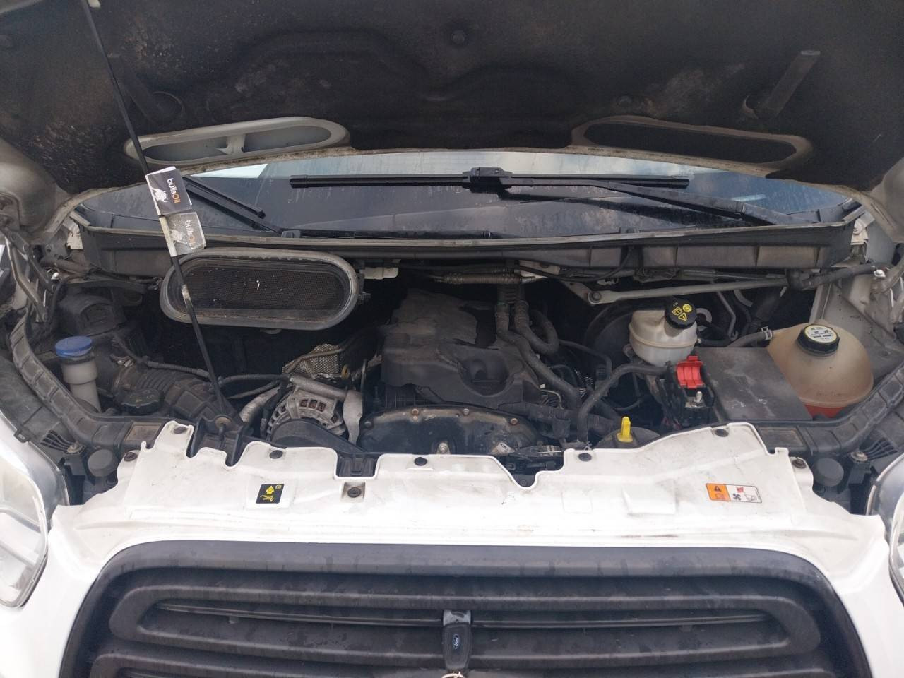 Vente en ligne Ford Transit  P350 L3 RJ HD 2.2 TDCI 155 au prix de 17 490 €