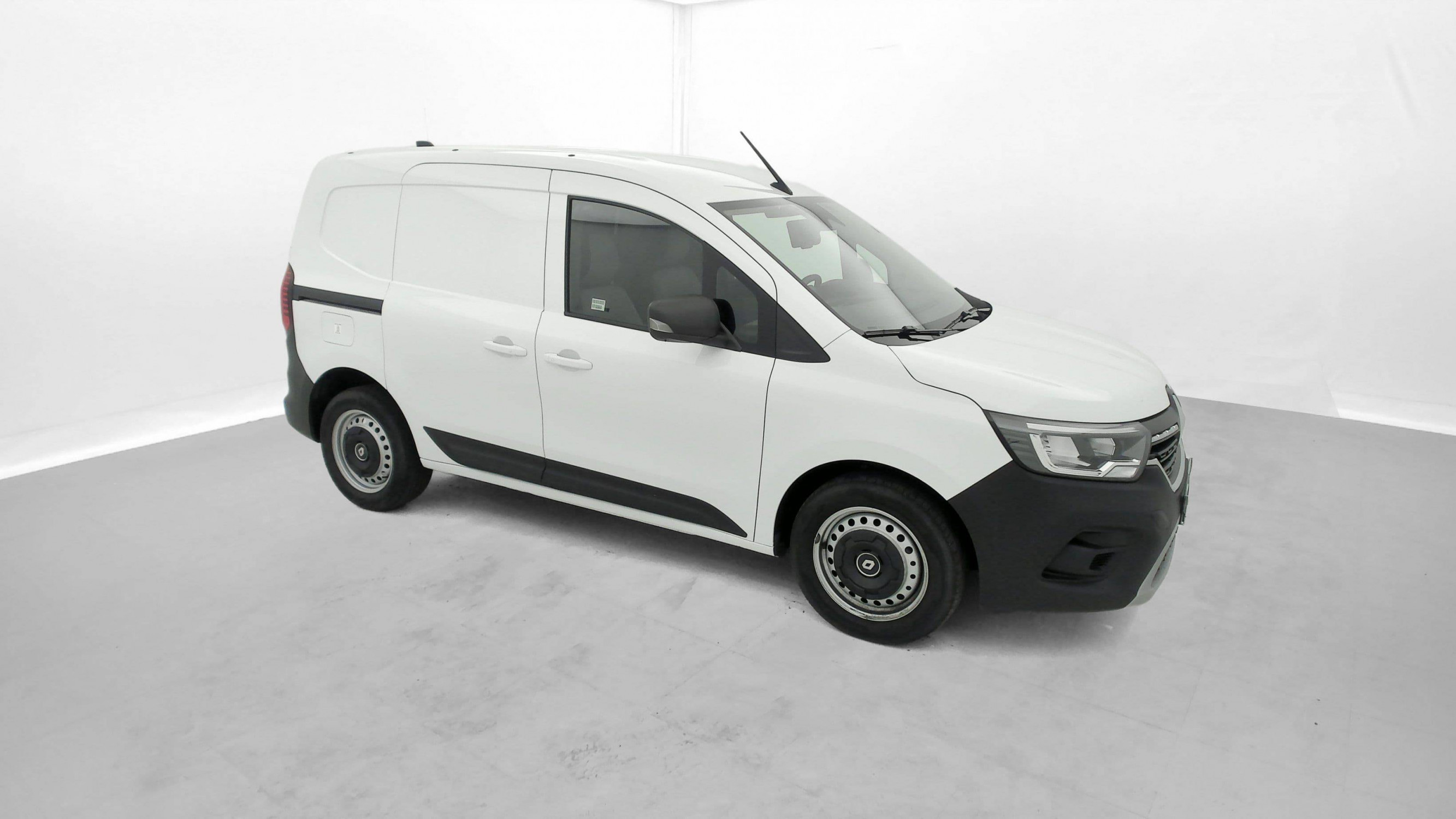 Vente en ligne Renault Kangoo Van  TCE 130 au prix de 18 990 €