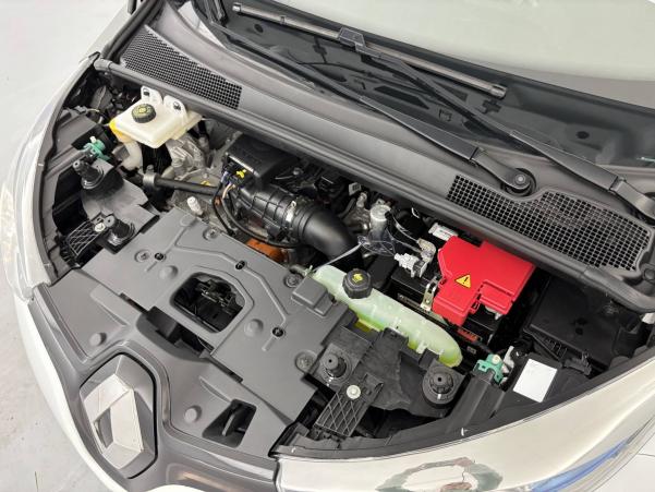Vente en ligne Renault Zoé  R110 au prix de 9 490 €