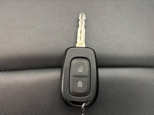 Vente en ligne Dacia Spring  Achat Intégral au prix de 10 390 €