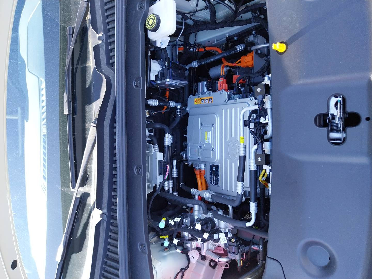 Vente en ligne Byd Atto 2  45.1 kWh 177 ch au prix de 26 890 €