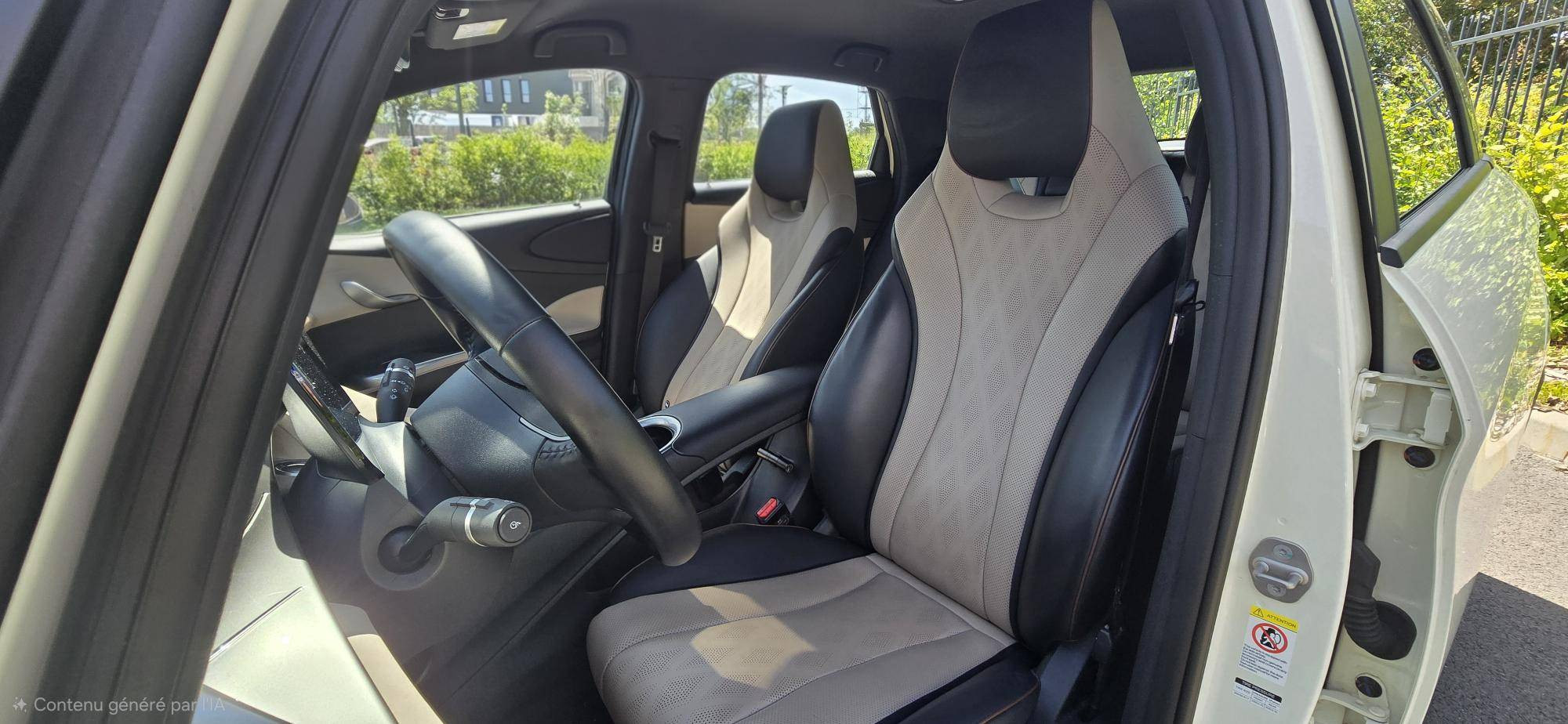 Vente en ligne Byd Dolphin  60,4 kWh 204 ch au prix de 21 990 €