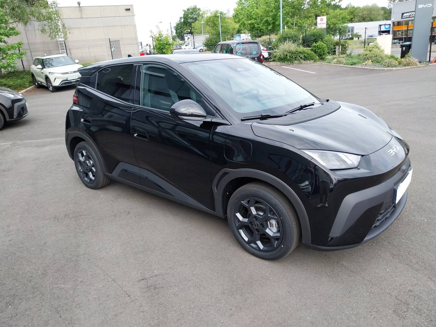 Vente en ligne Byd Dolphin Surf  43.2 kWh 156 ch au prix de 22 890 €