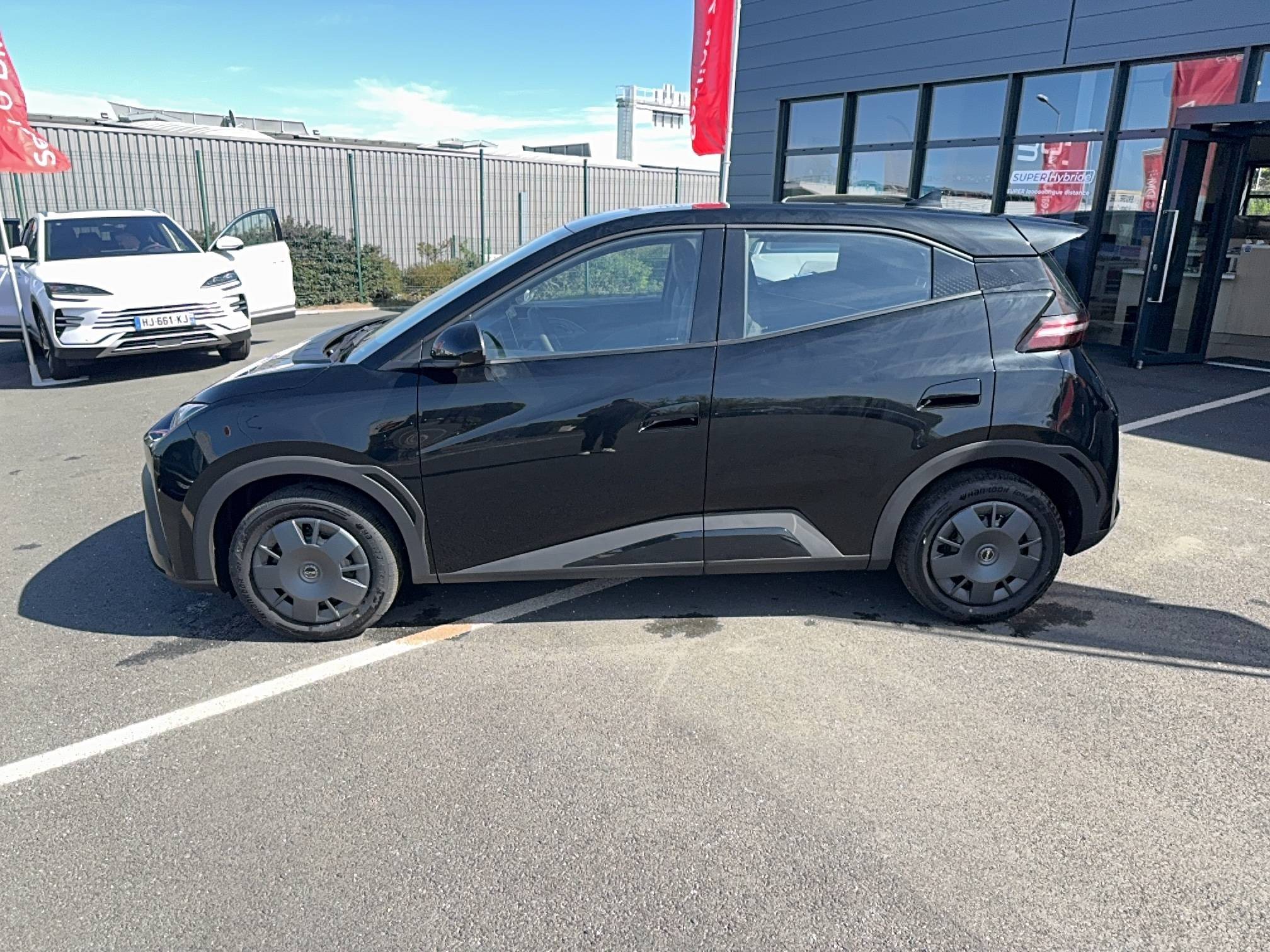 Vente en ligne Byd Dolphin Surf  30 kWh 88 ch au prix de 18 990 €