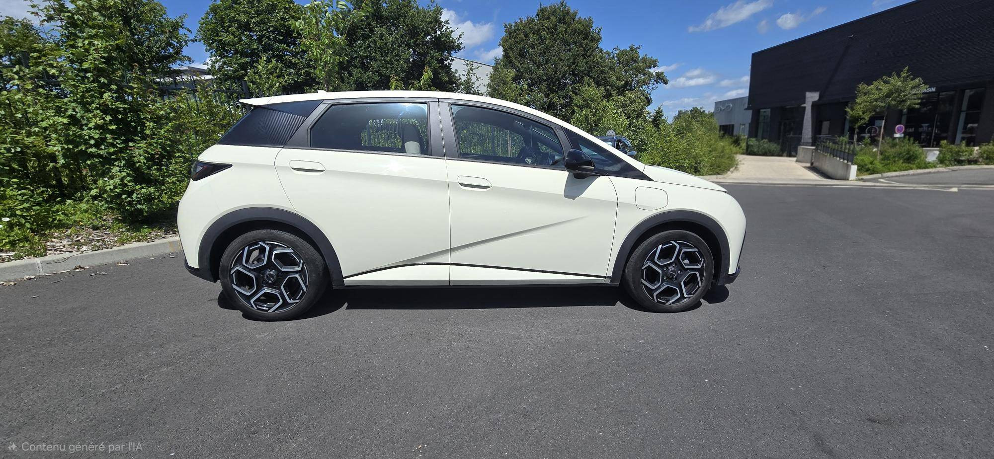 Vente en ligne Byd Dolphin  60,4 kWh 204 ch au prix de 21 990 €