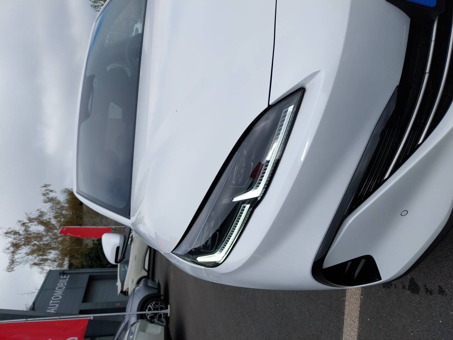 Vente en ligne Byd Seal 6 DM-i  1.5l DM-i 156 kW PHEV au prix de 33 190 €
