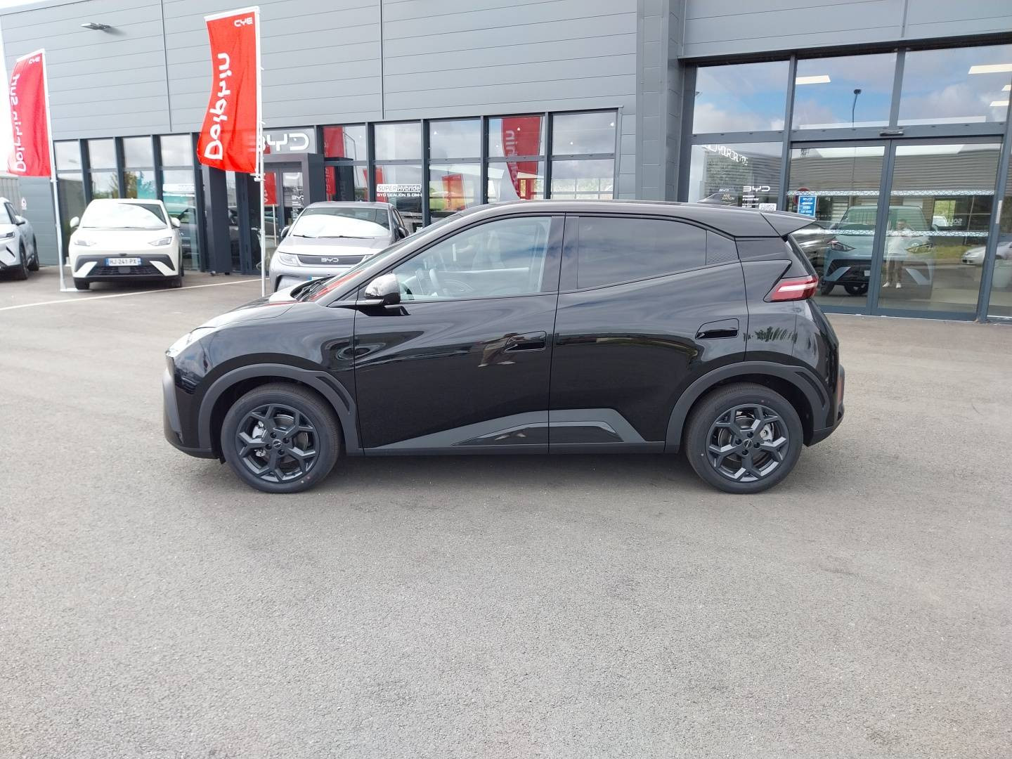 Vente en ligne Byd Dolphin Surf  43.2 kWh 156 ch au prix de 22 890 €