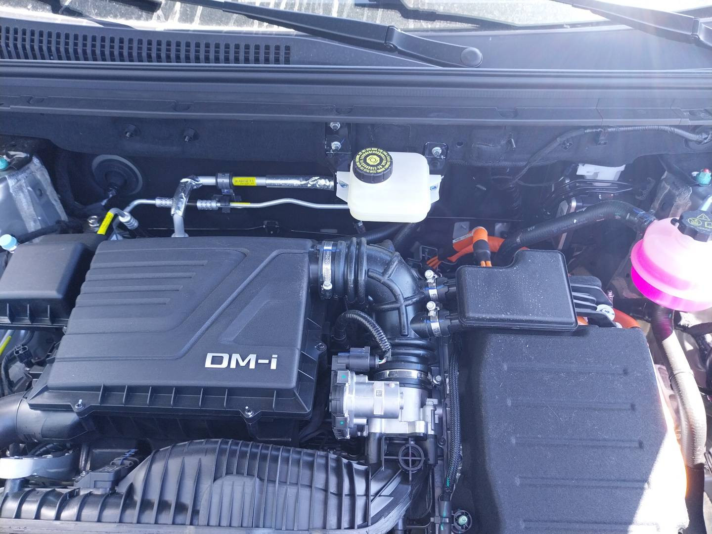 Byd Sealion 5  1.5l DM-i 212 ch PHEV occasion de 2026 en vente à Saint-Brieuc